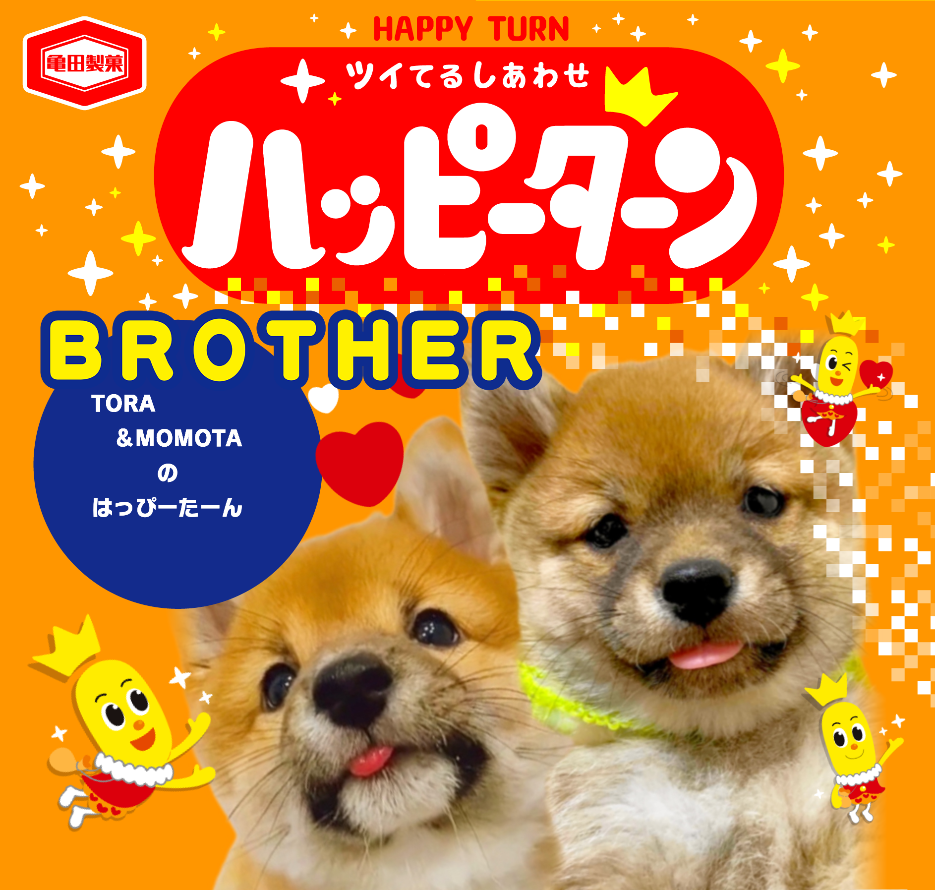 BROTHER