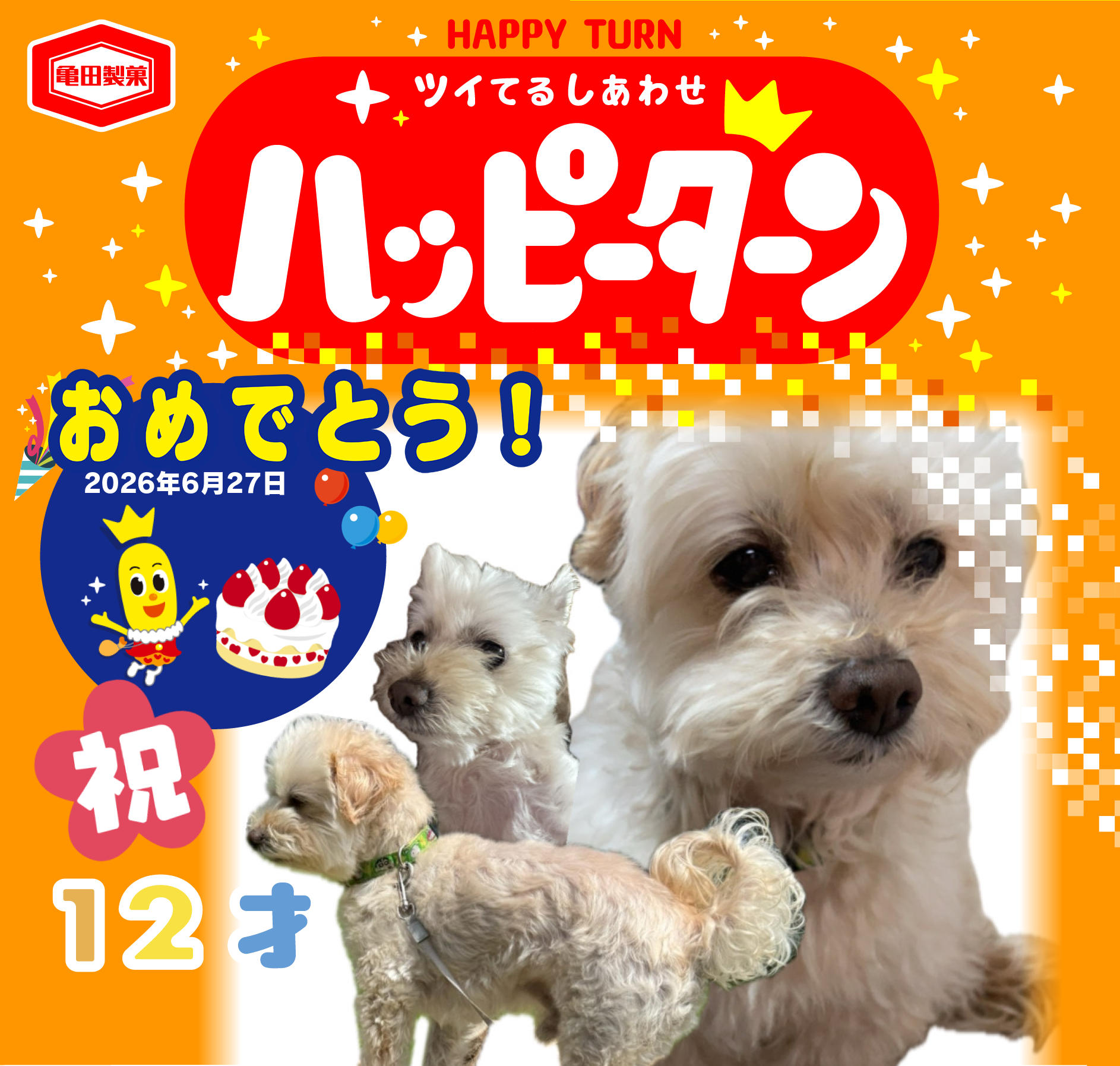 おめでとう！
