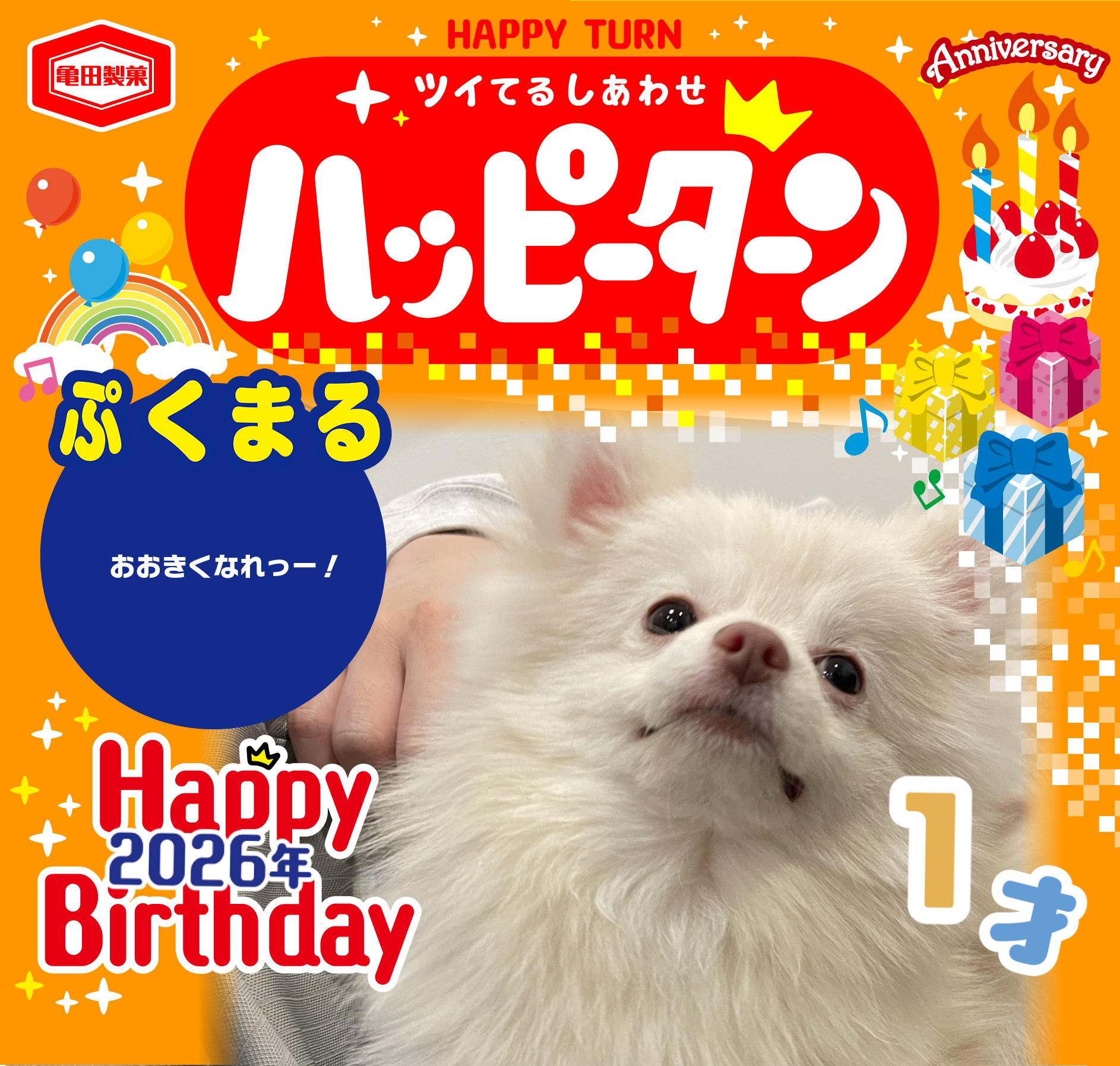 ぷくまる