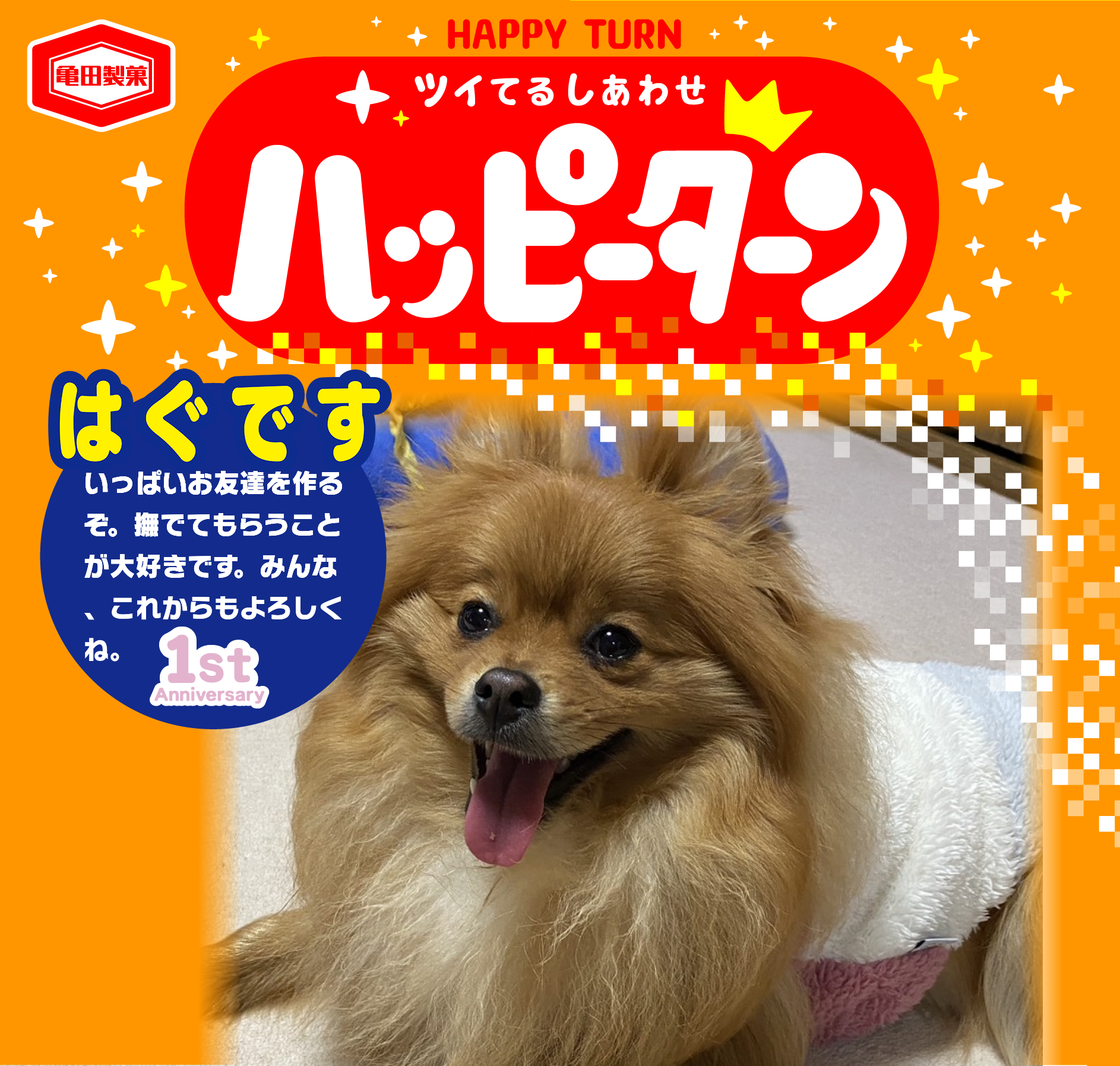 はぐです
