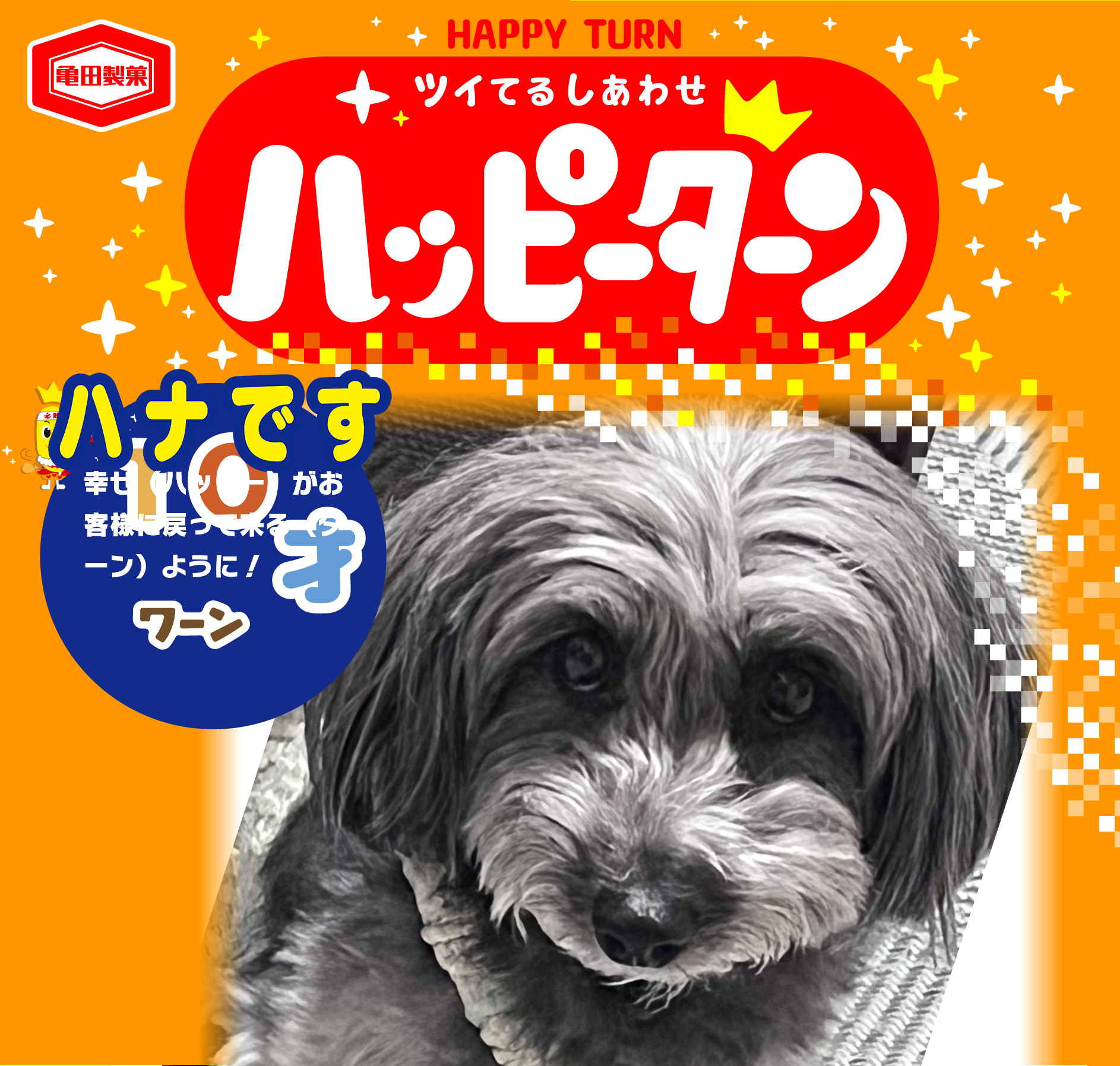 ハナです