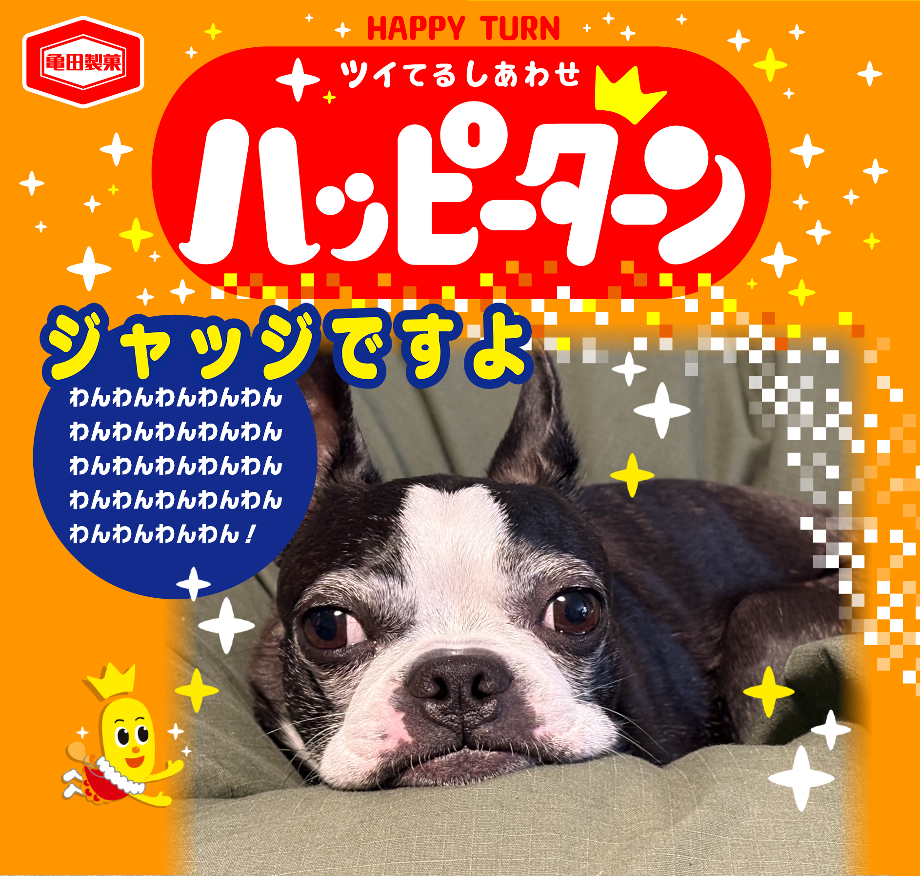 ジャッジですよ