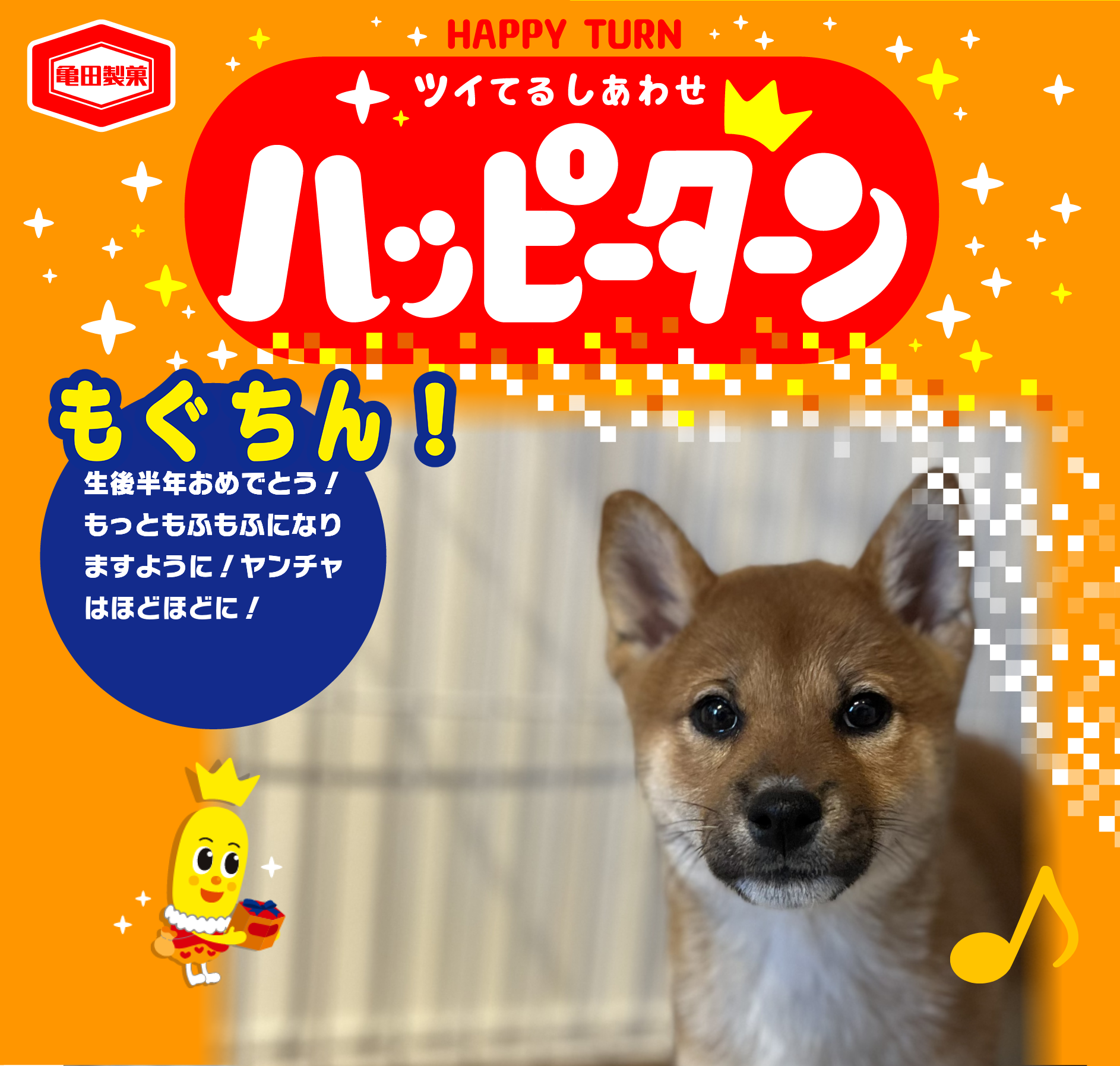 もぐちん！