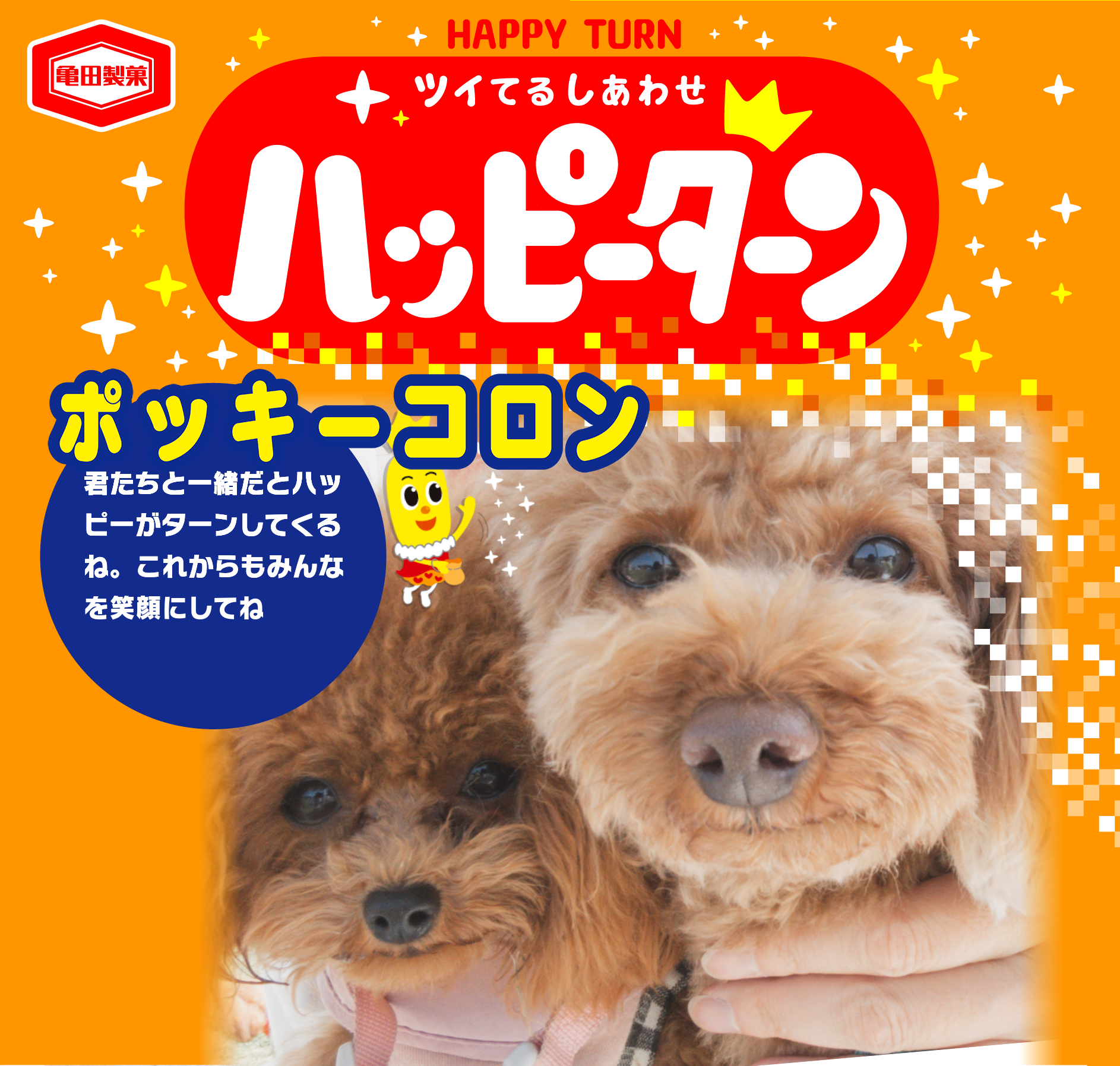 ポッキーコロン