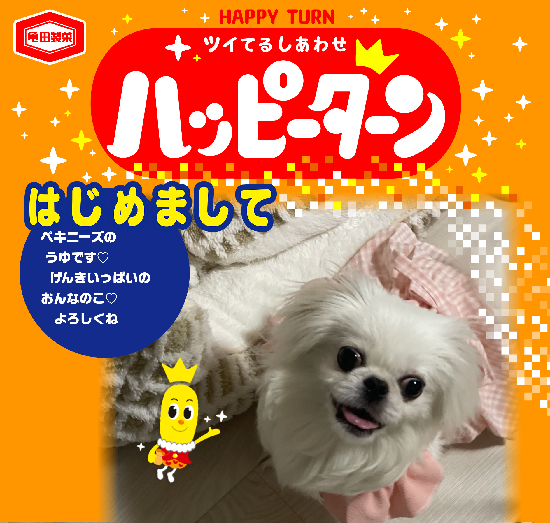 はじめまして