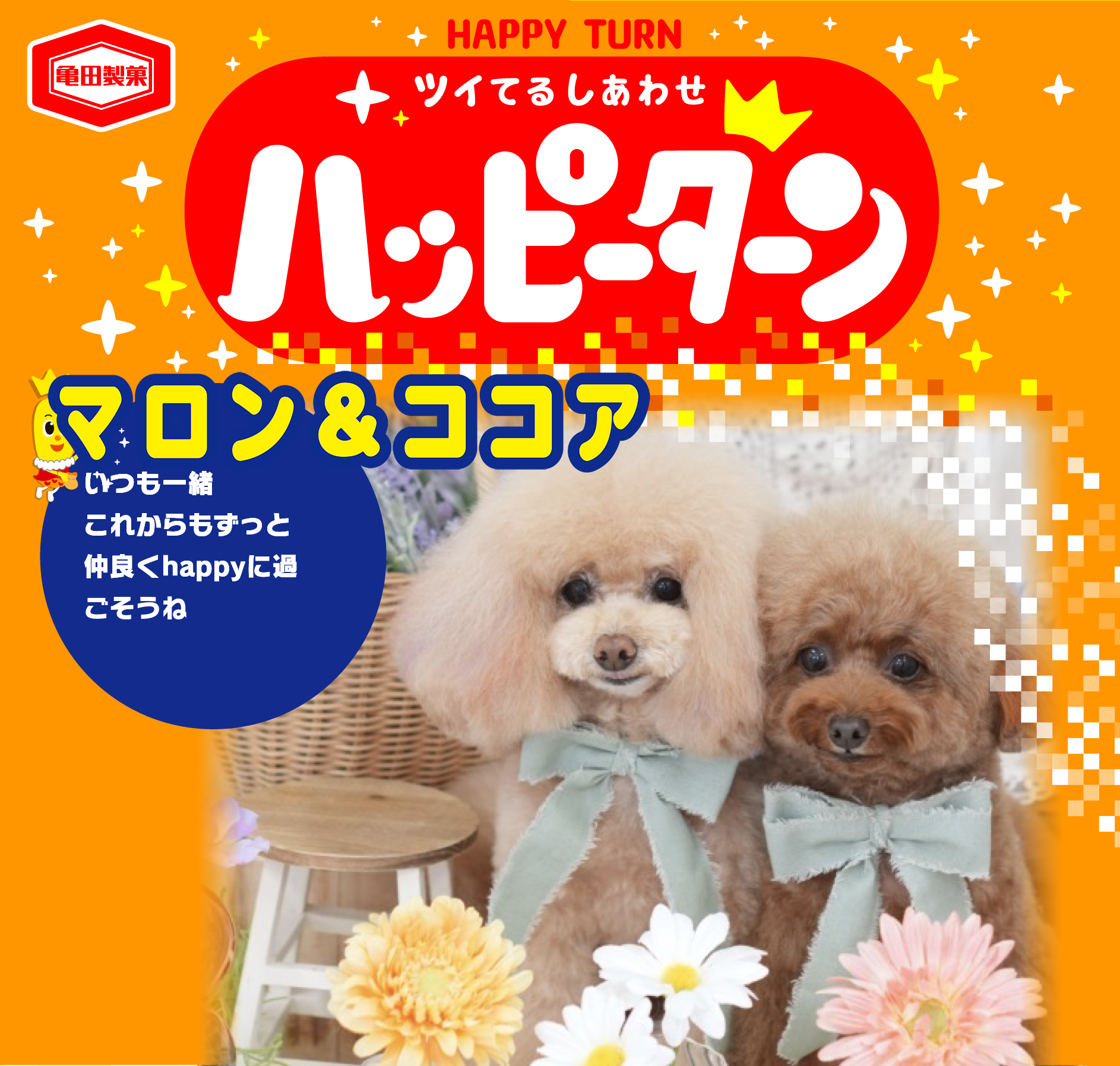 マロン＆ココア
