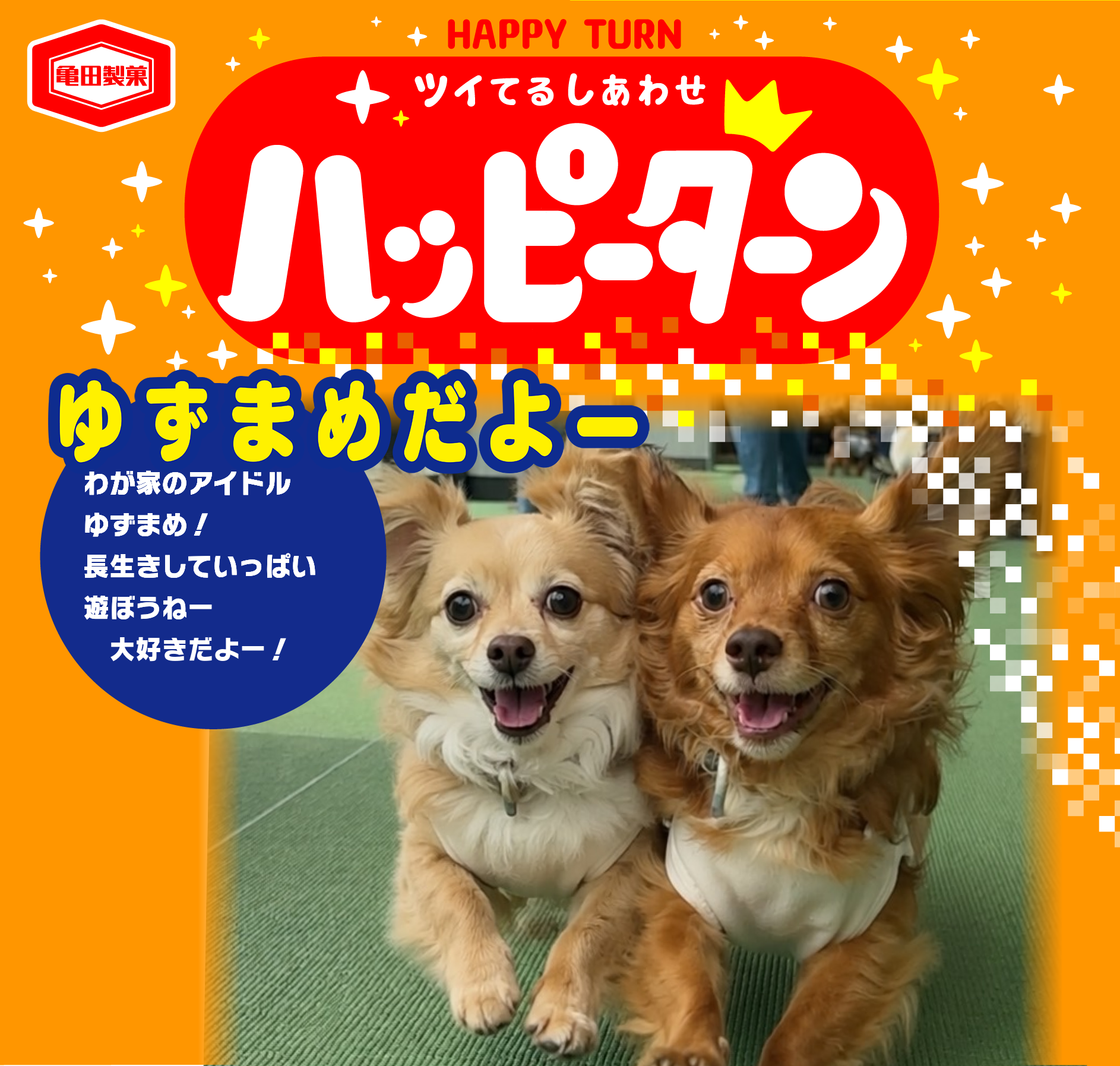 ゆずまめだよー