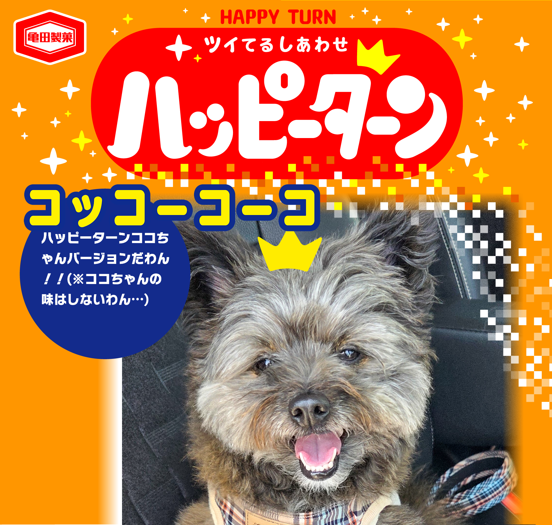 コッコーコーコ