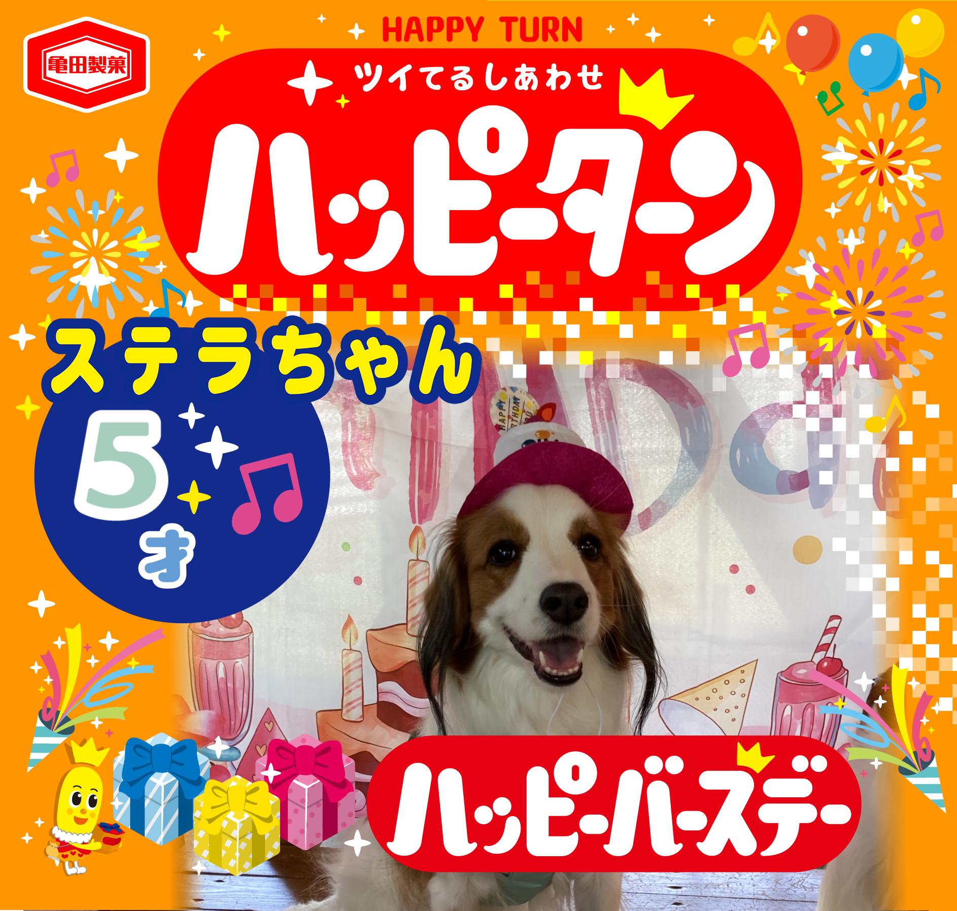 ステラちゃん