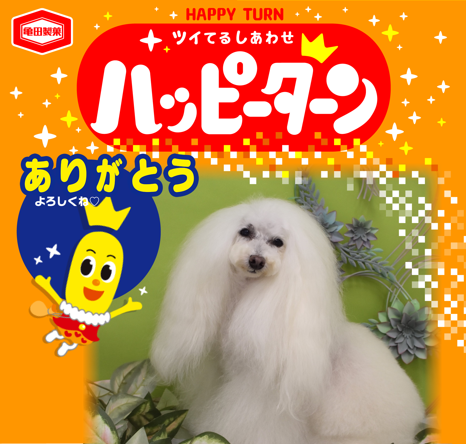 ありがとう