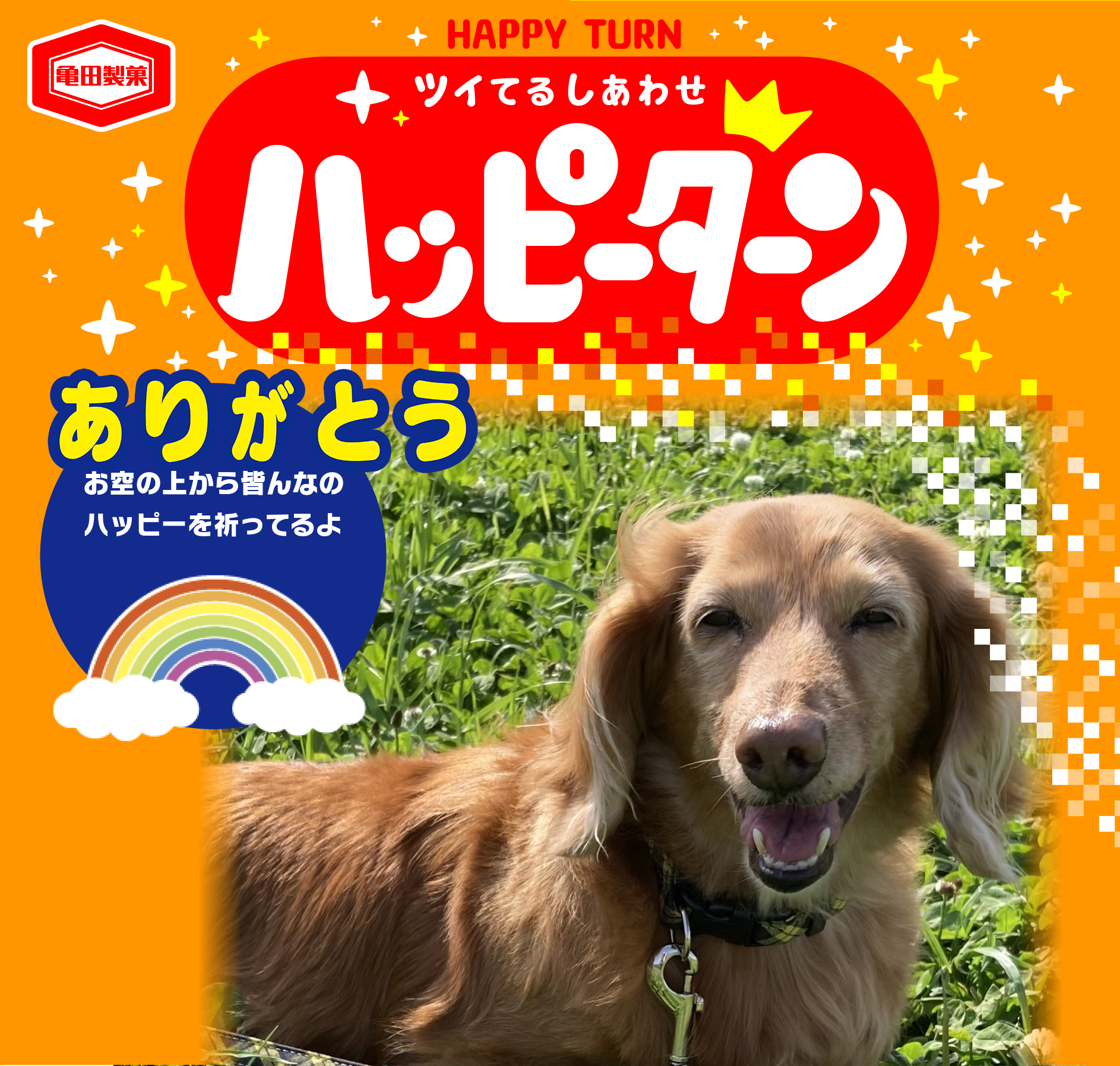ありがとう