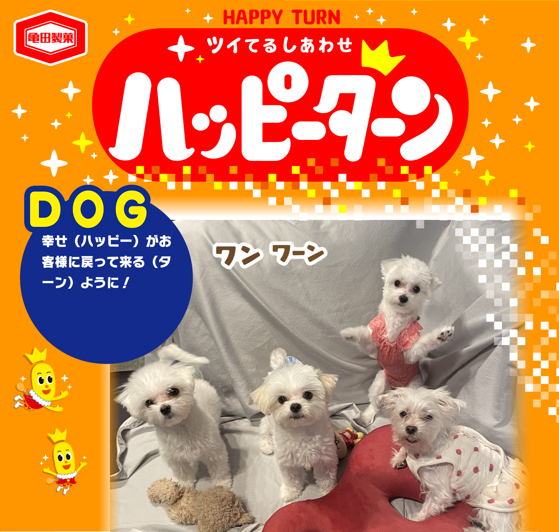 DOG