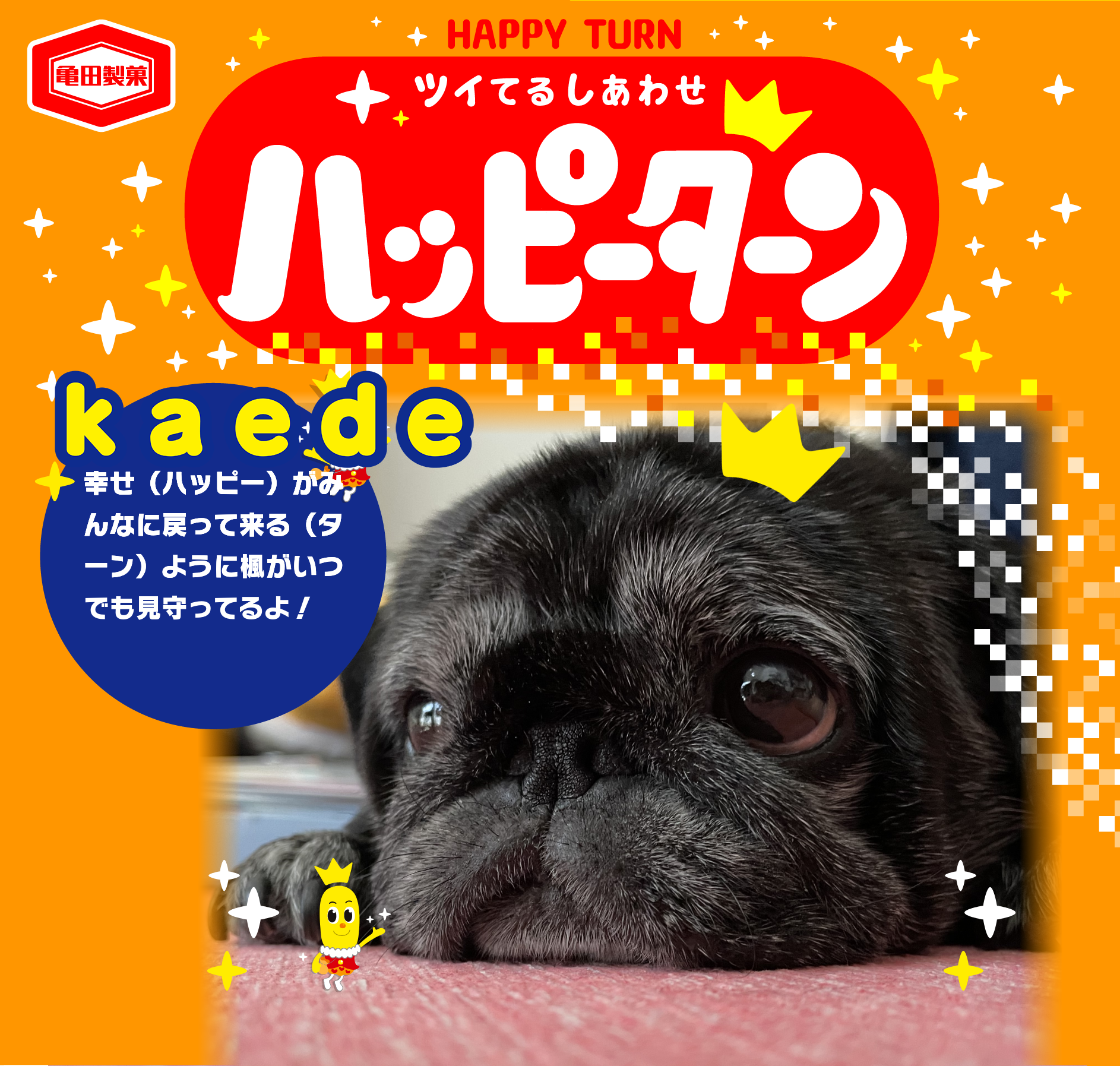 kaede