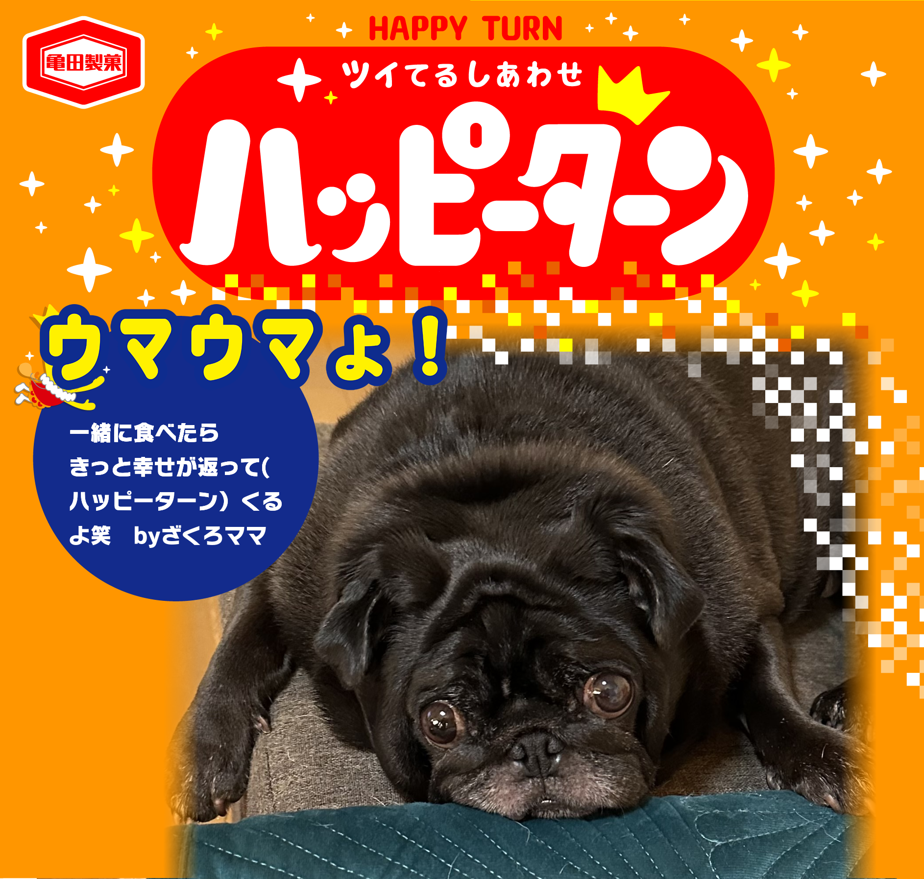ウマウマょ！