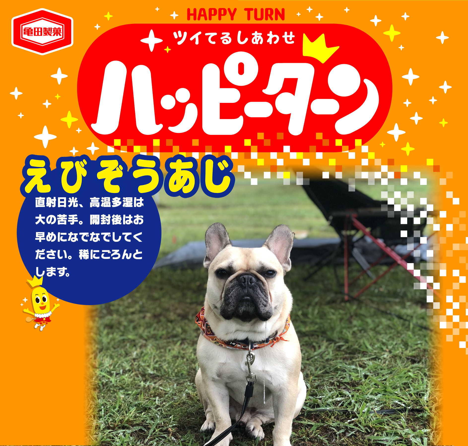 えびぞうあじ