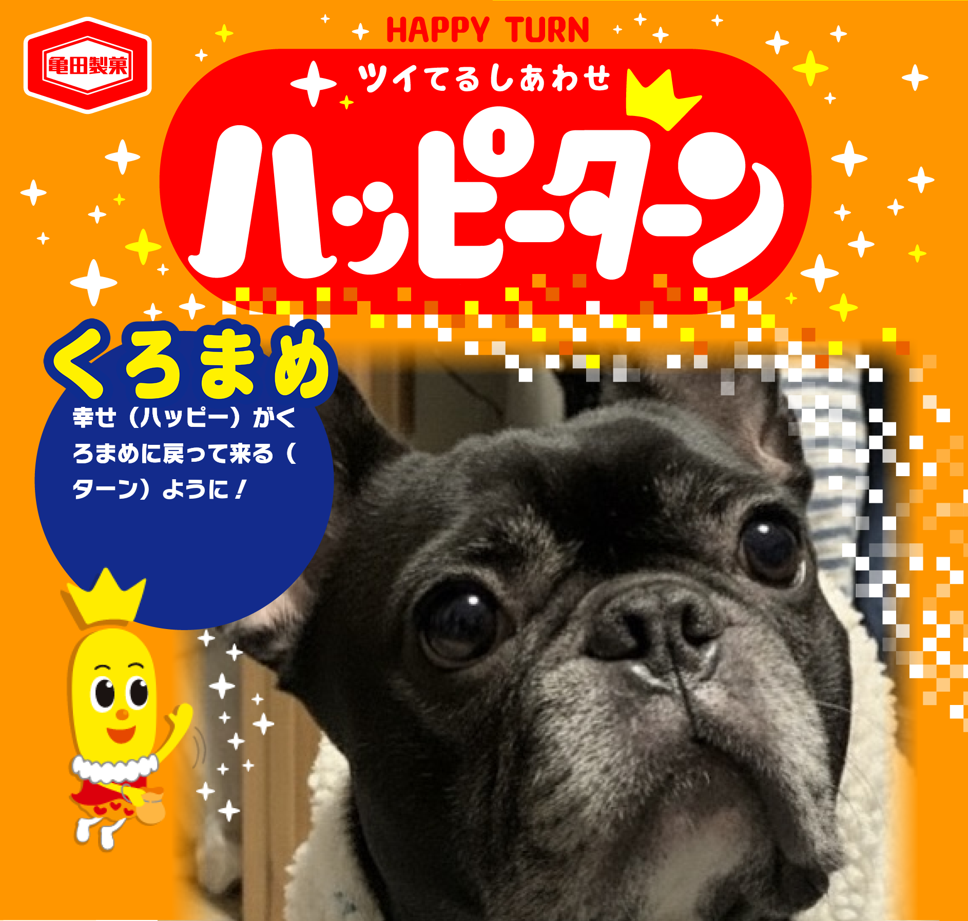 くろまめ