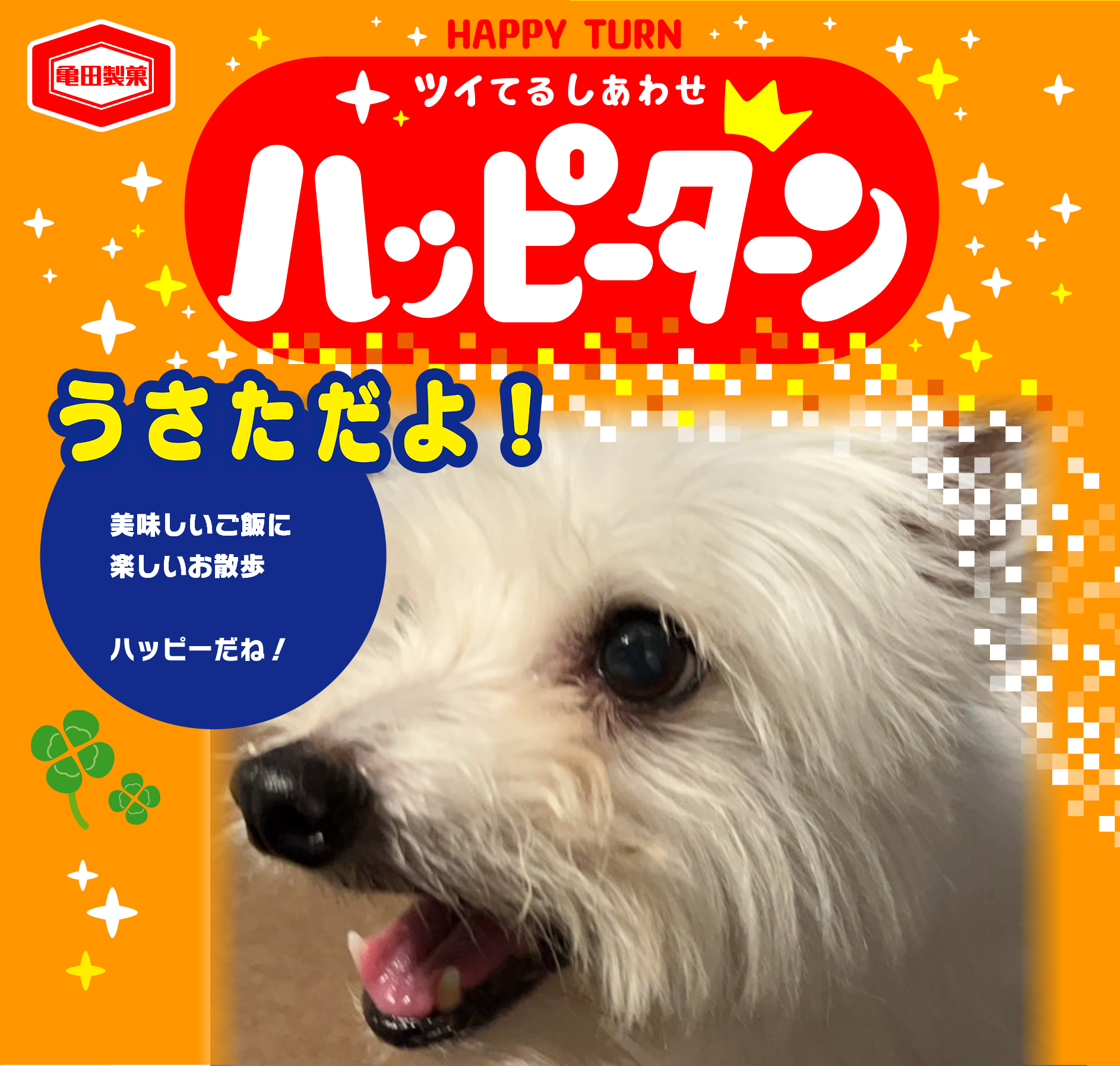 うさただよ！