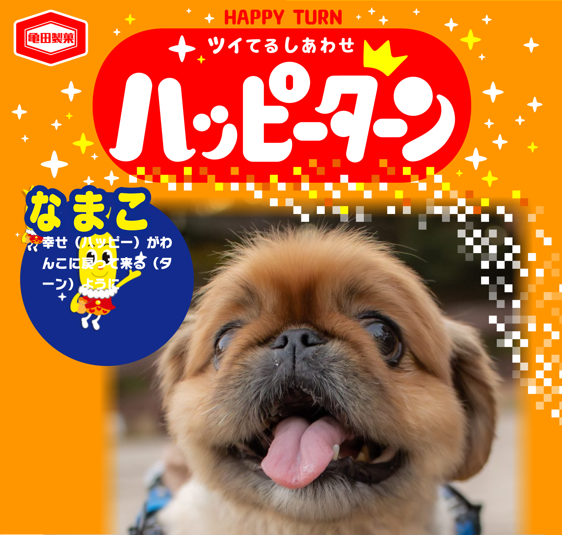なまこ