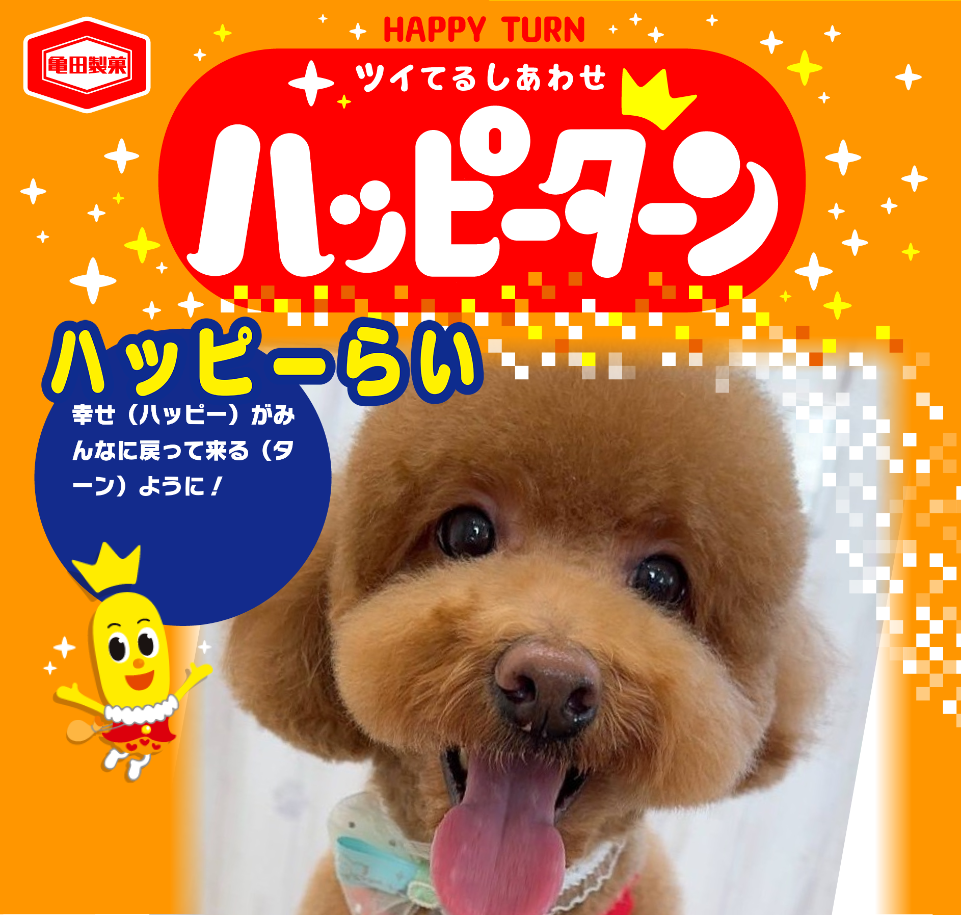 ハッピーらい