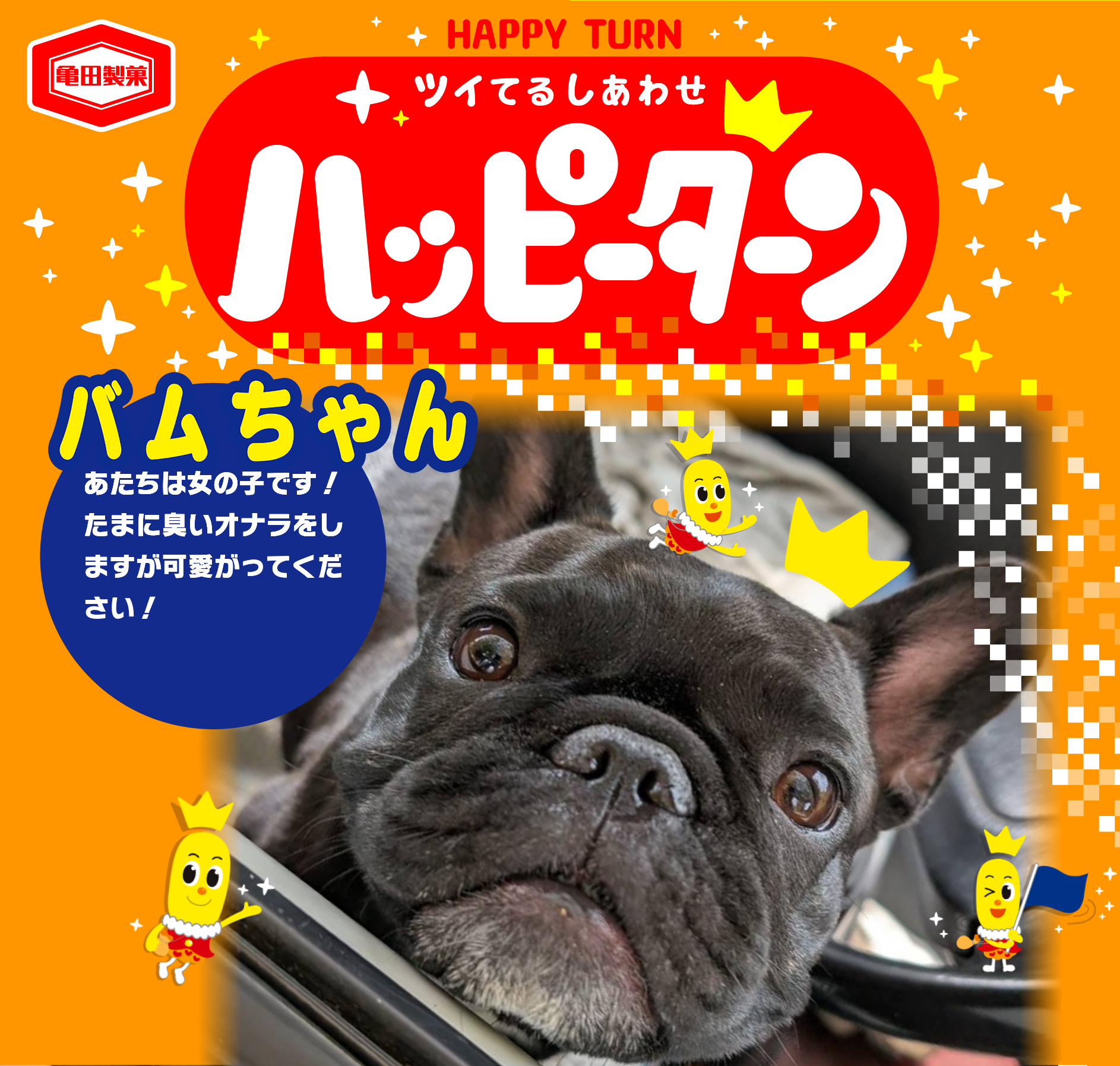 バムちゃん