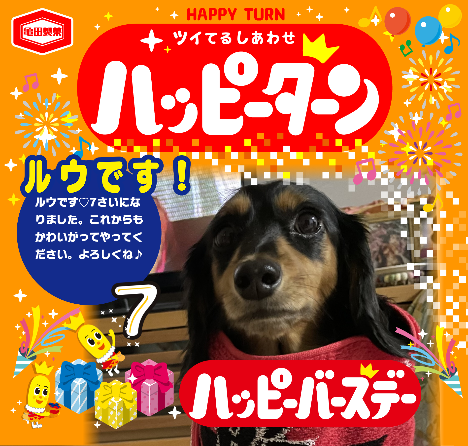 ルウです！