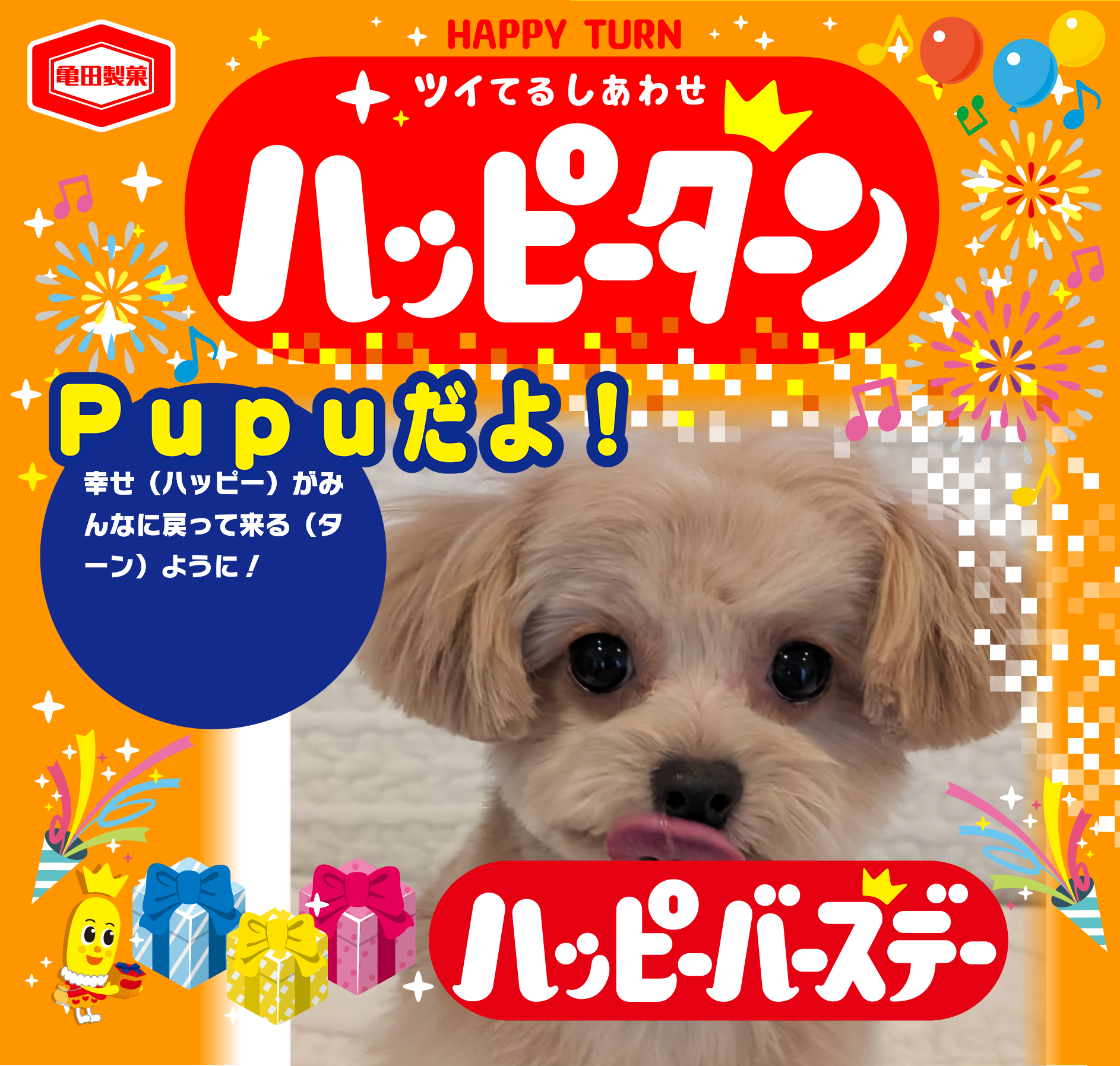 Pupuだよ！
