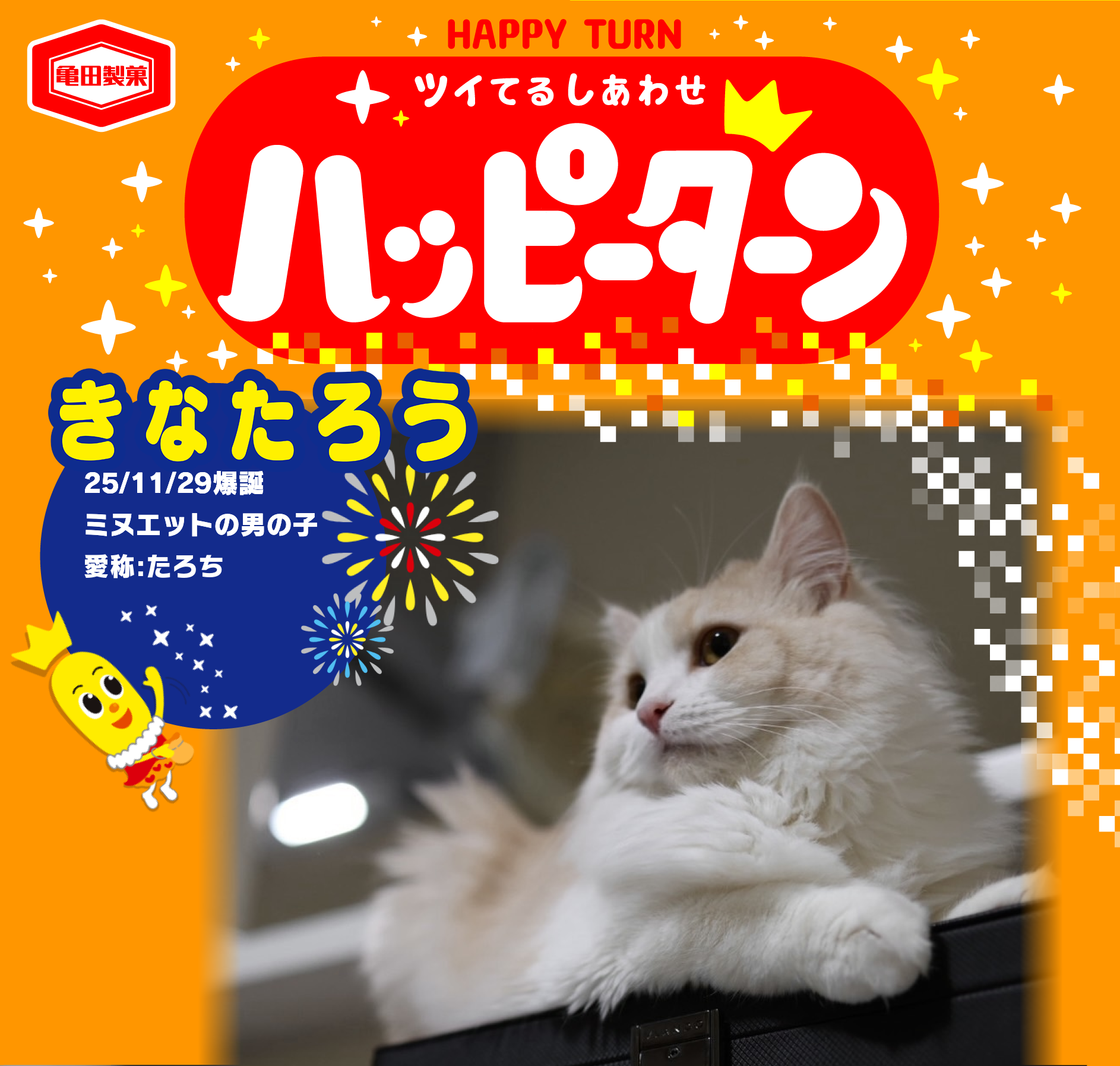 きなたろう
