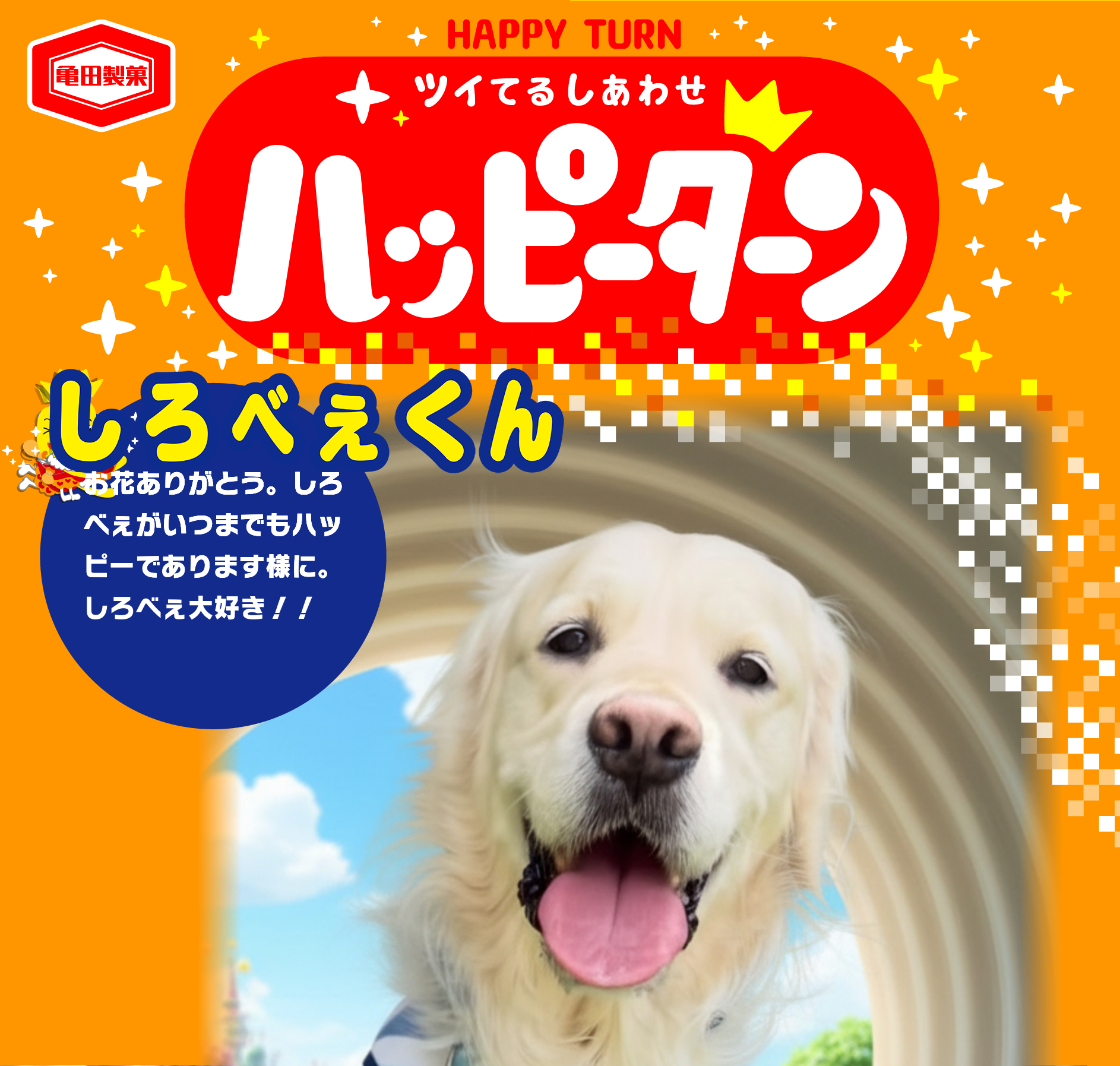 しろべぇくん