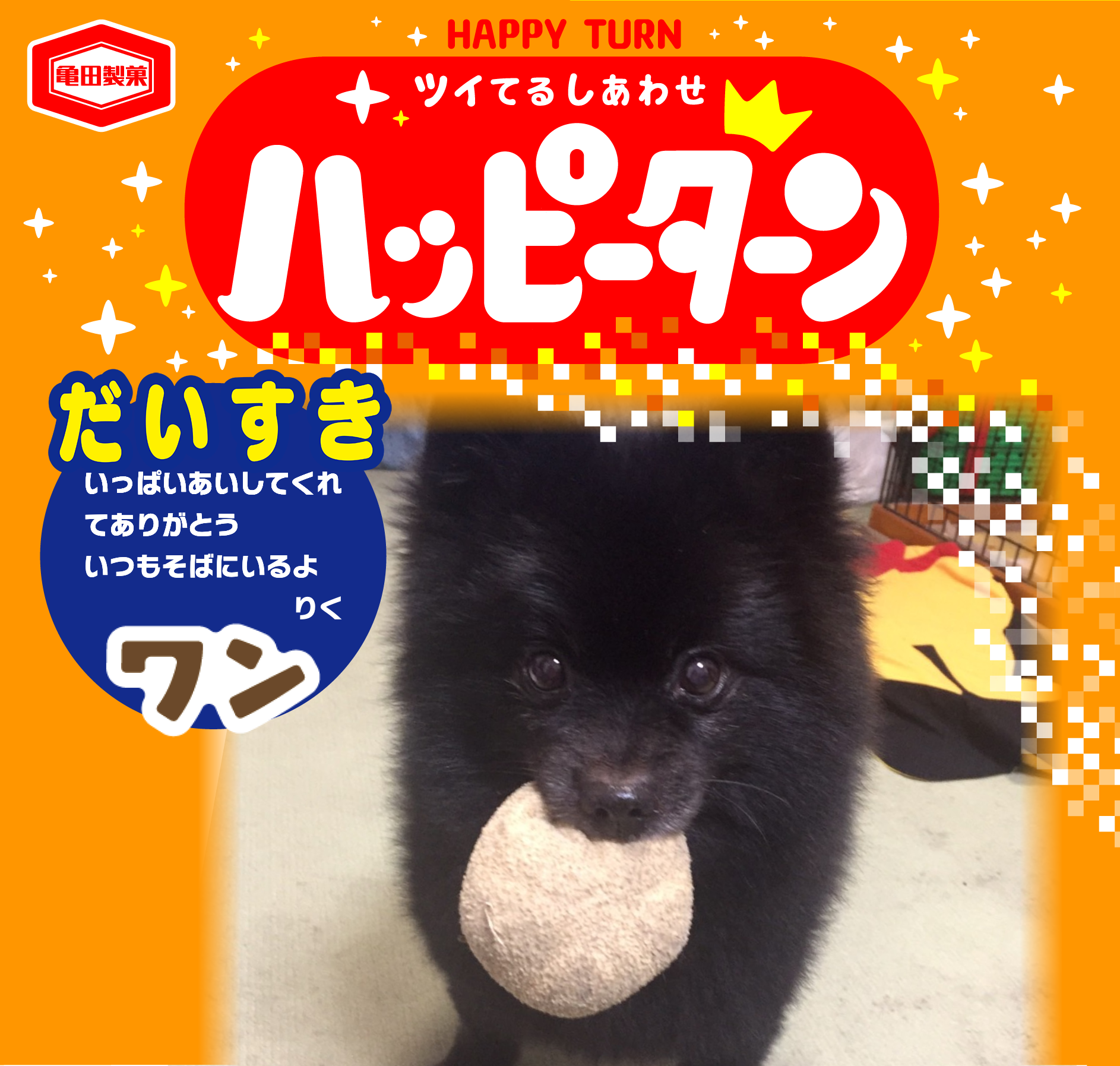 だいすき