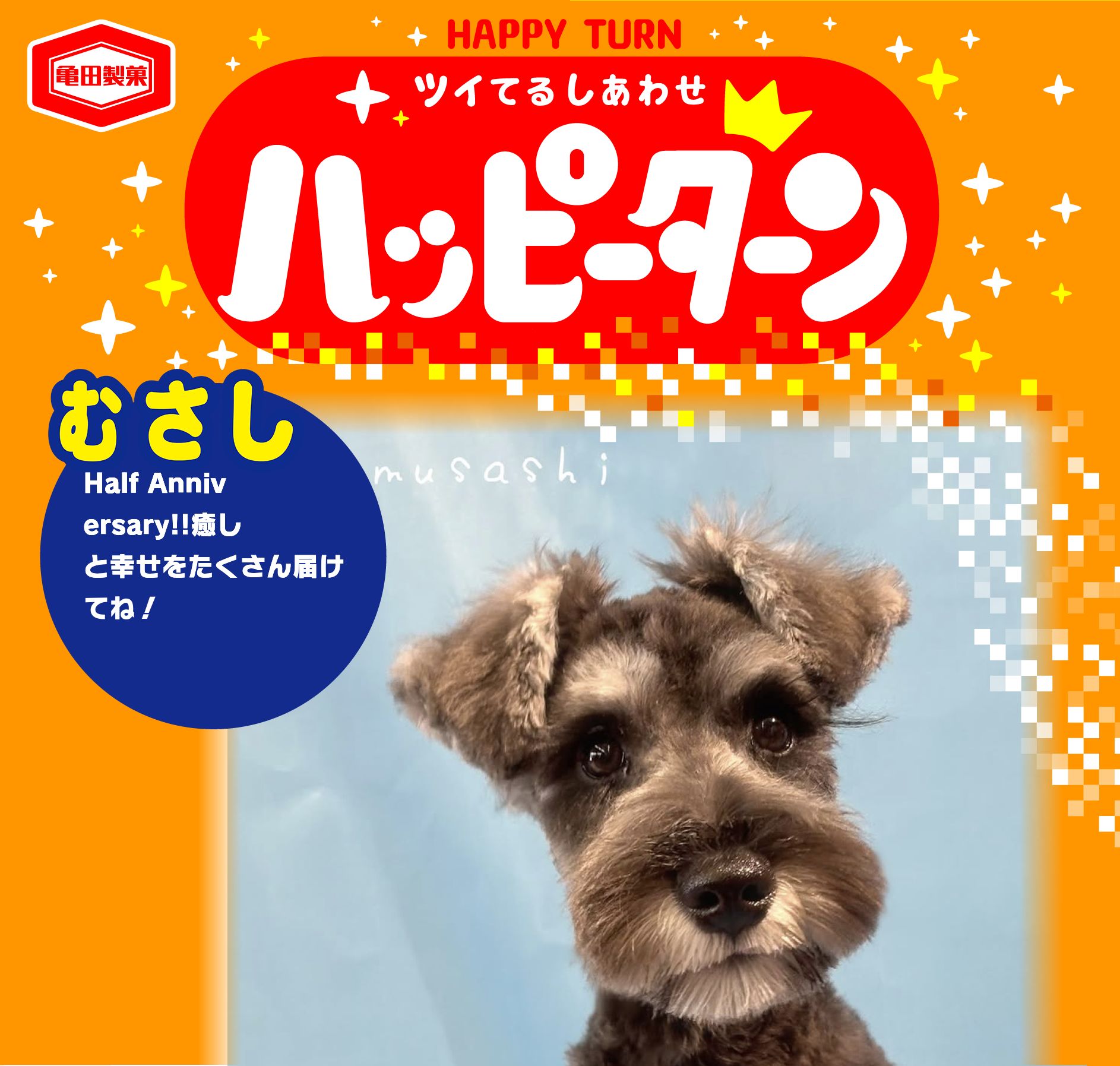 むさし