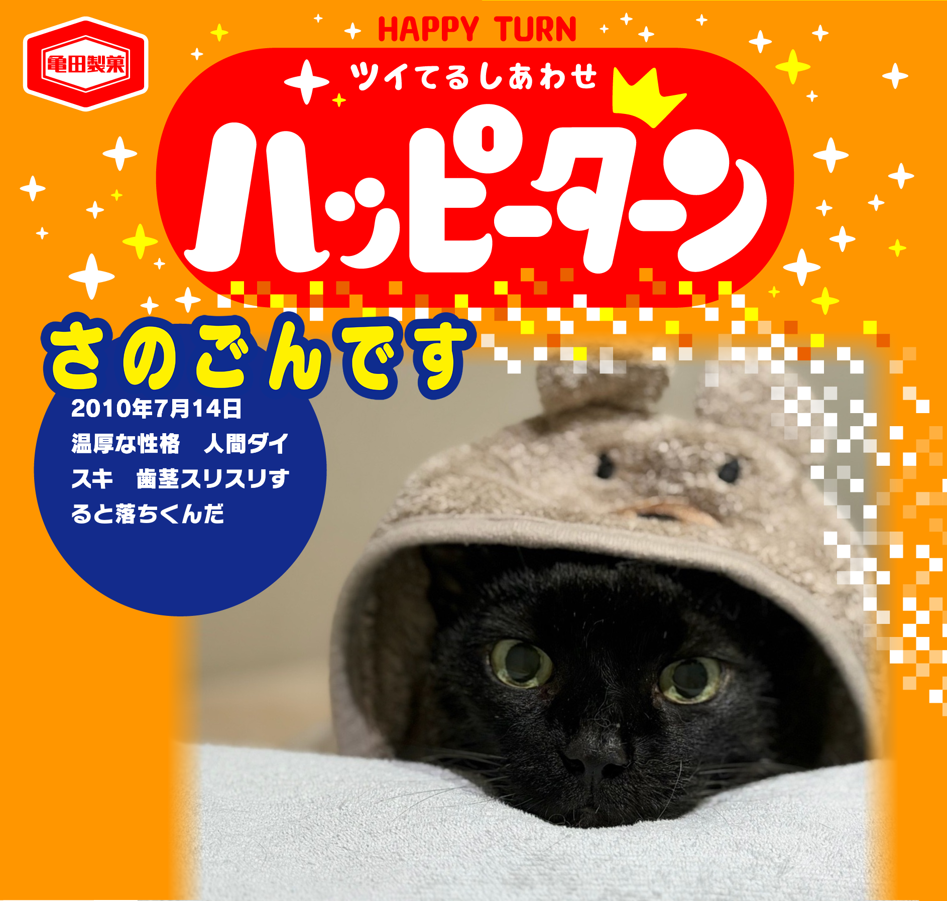 さのごんです