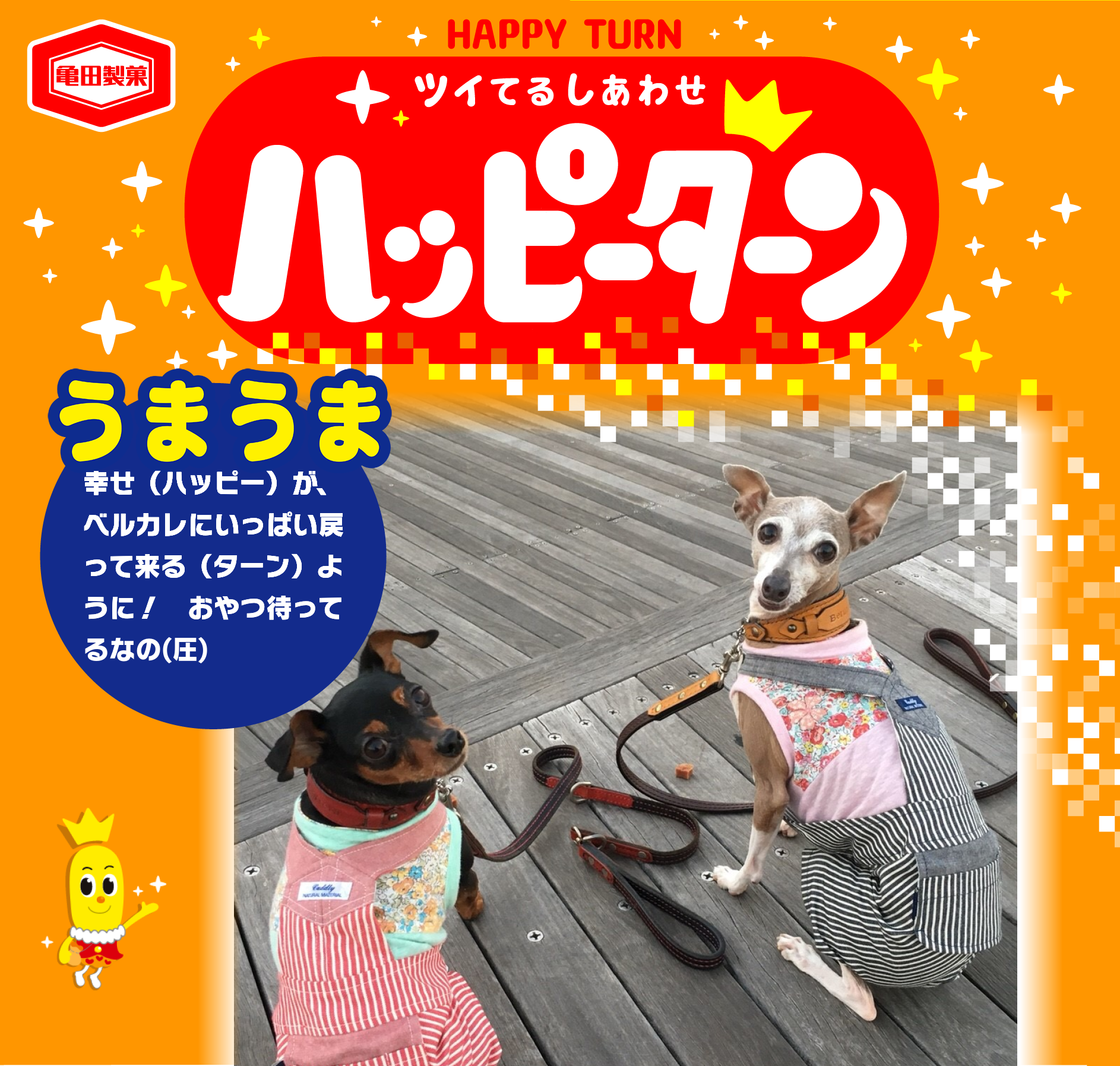 うまうま
