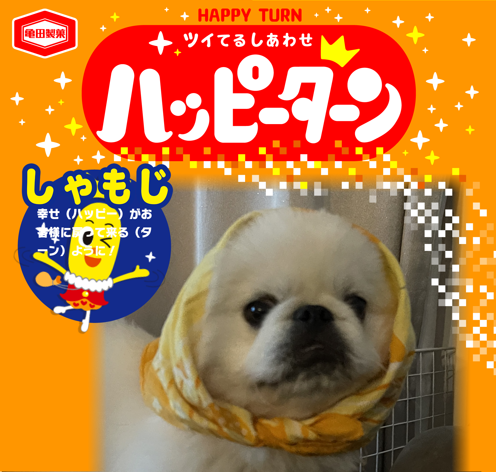 しゃもじ