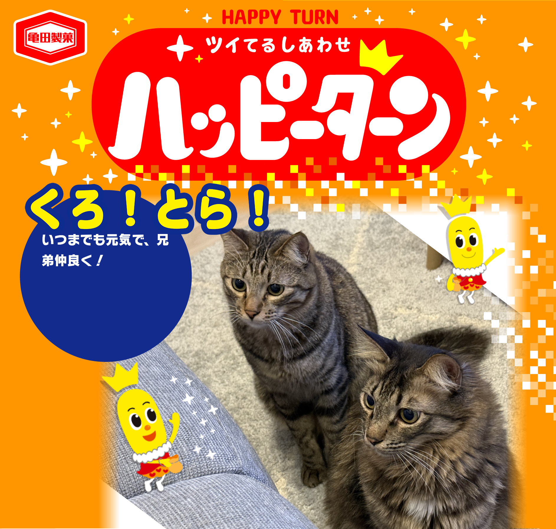 くろ！とら！