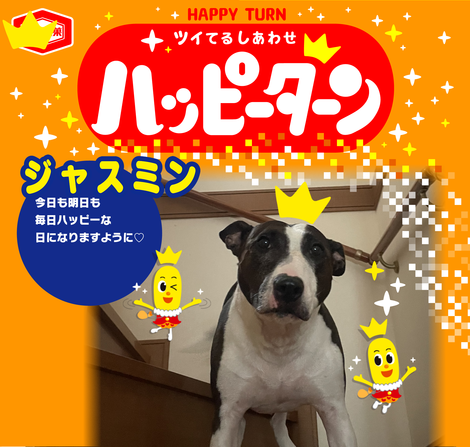 ジャスミン