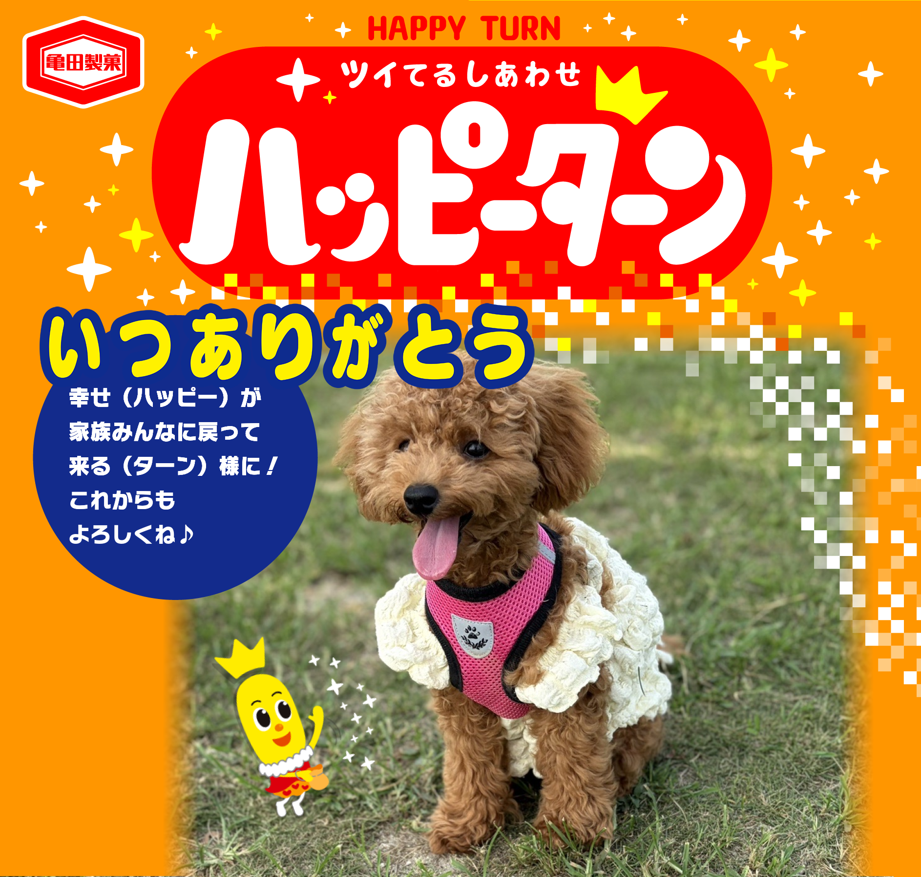 いつありがとう