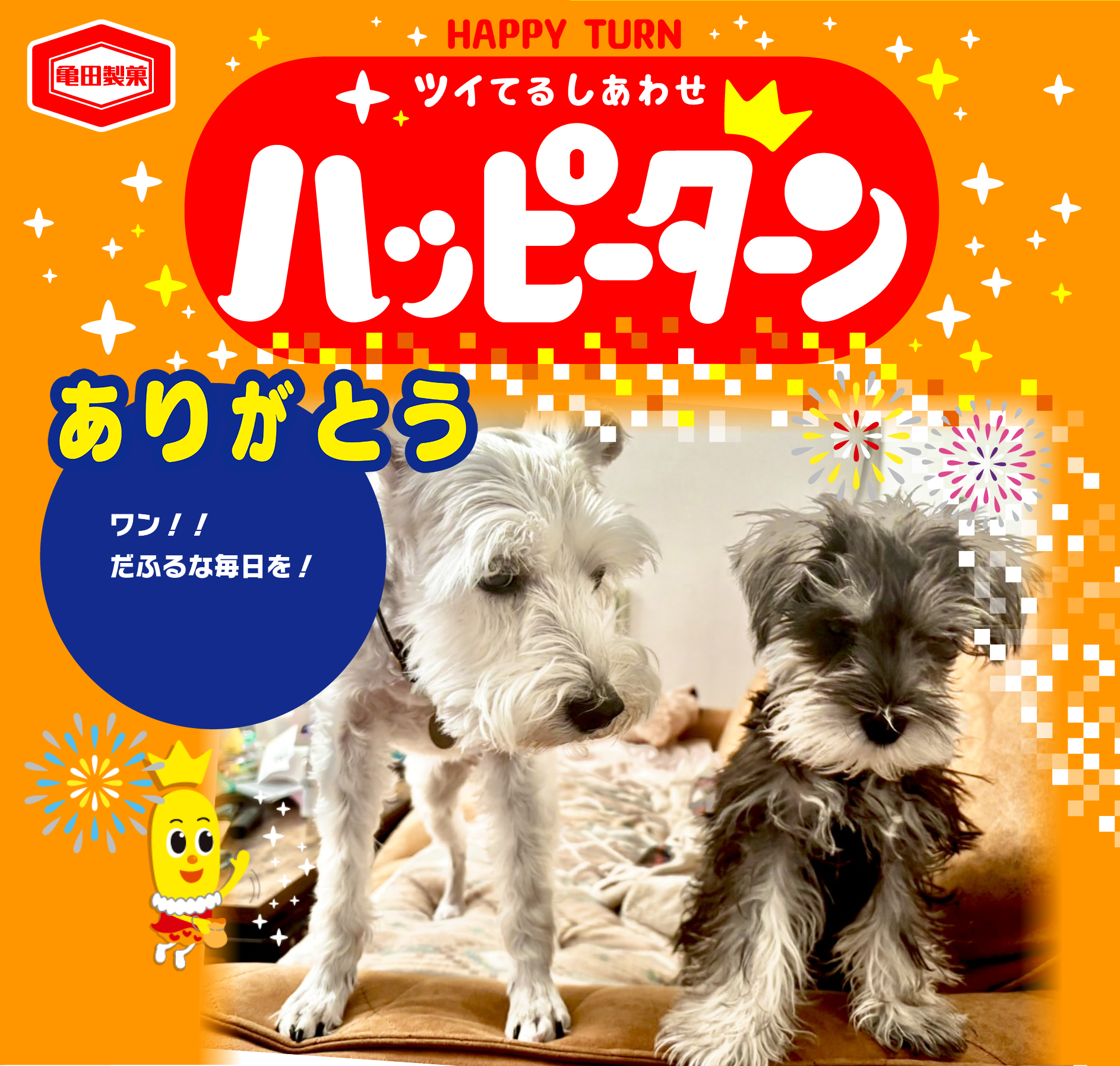 ありがとう
