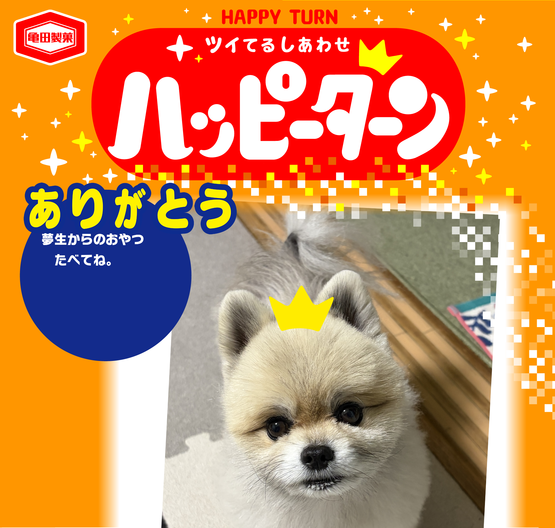 ありがとう