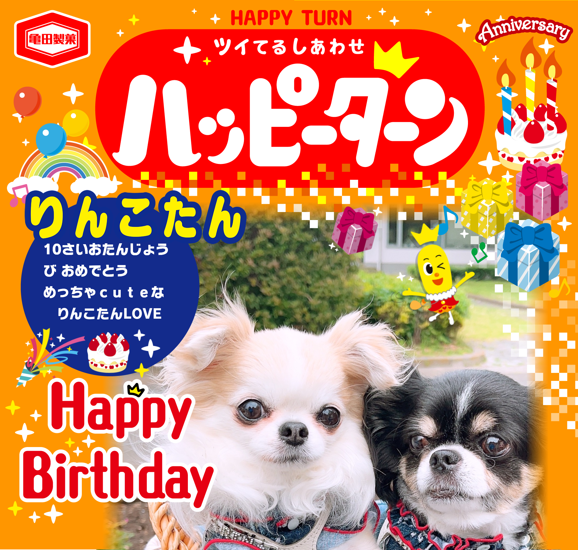 りんこたん
