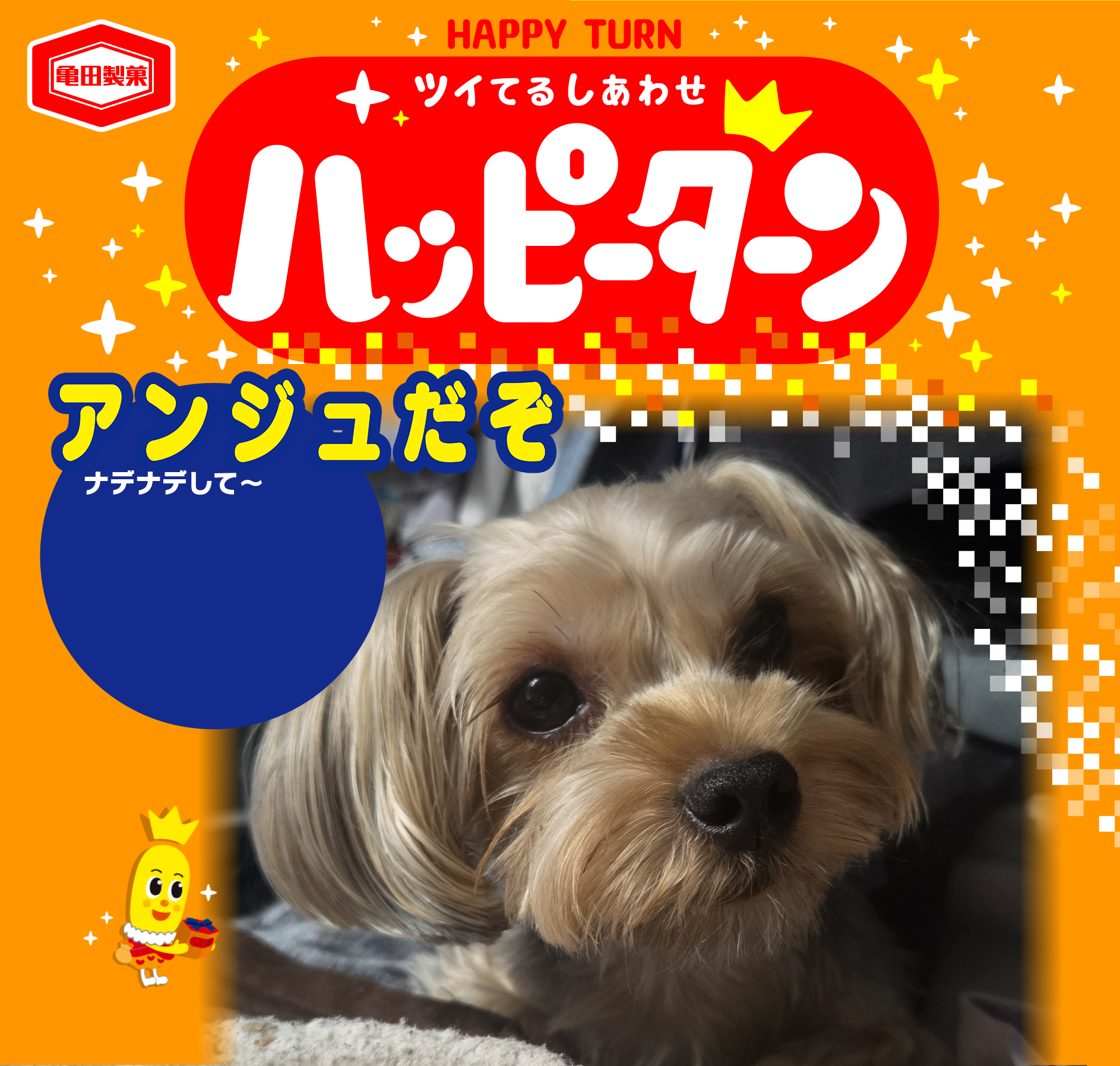 アンジュだぞ