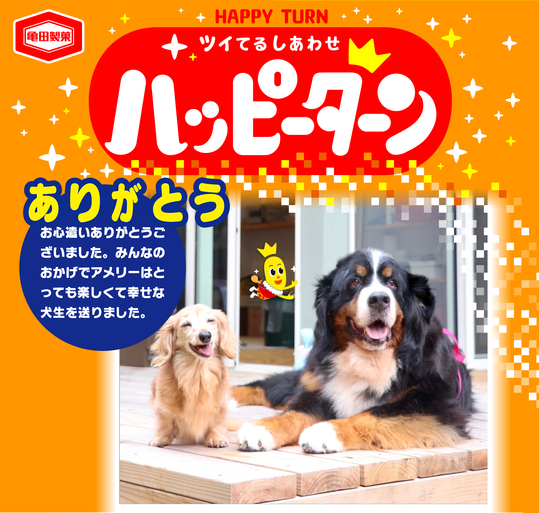 ありがとう