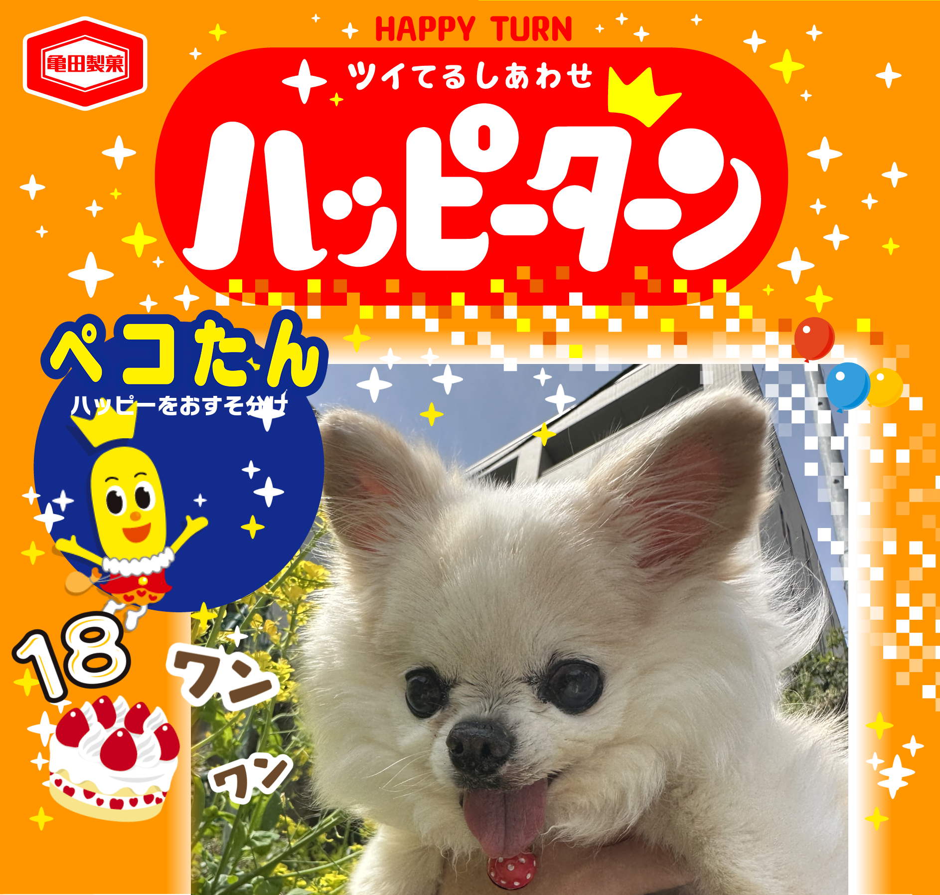 ペコたん