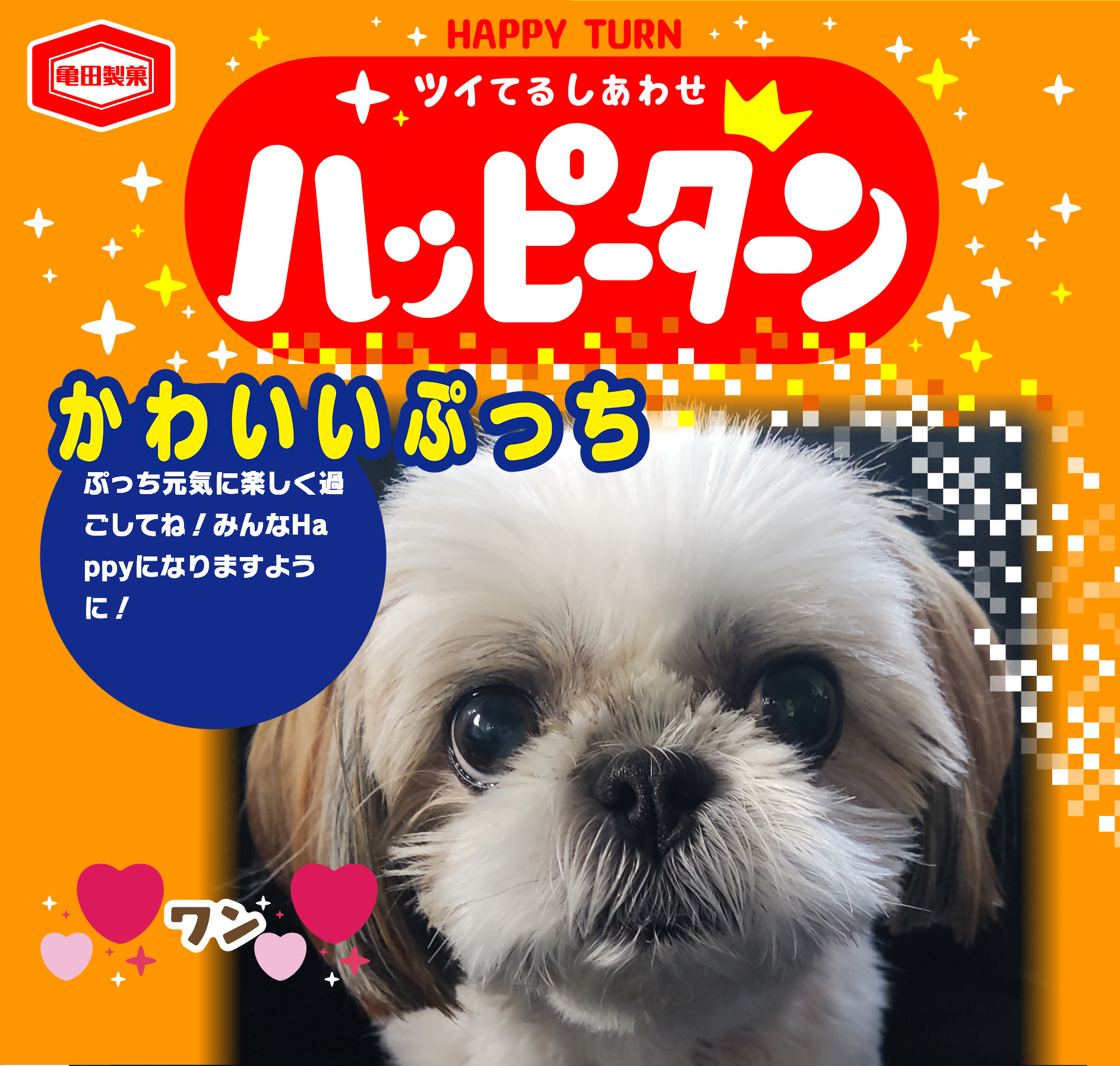 かわいいぷっち