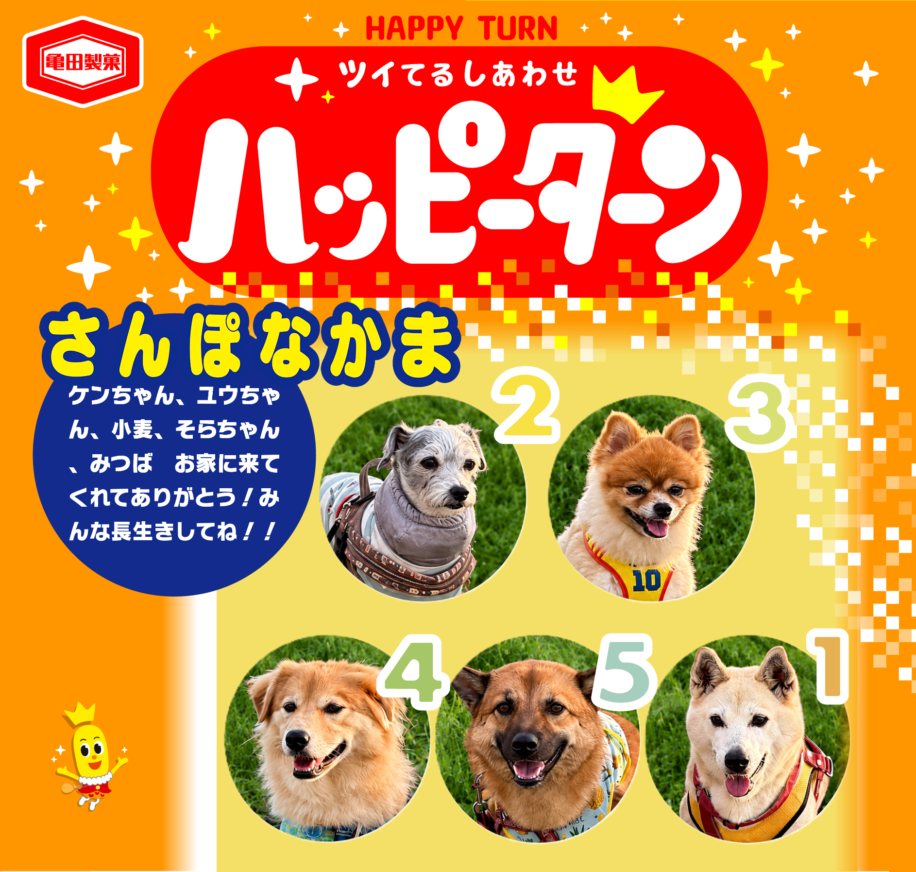 さんぽなかま
