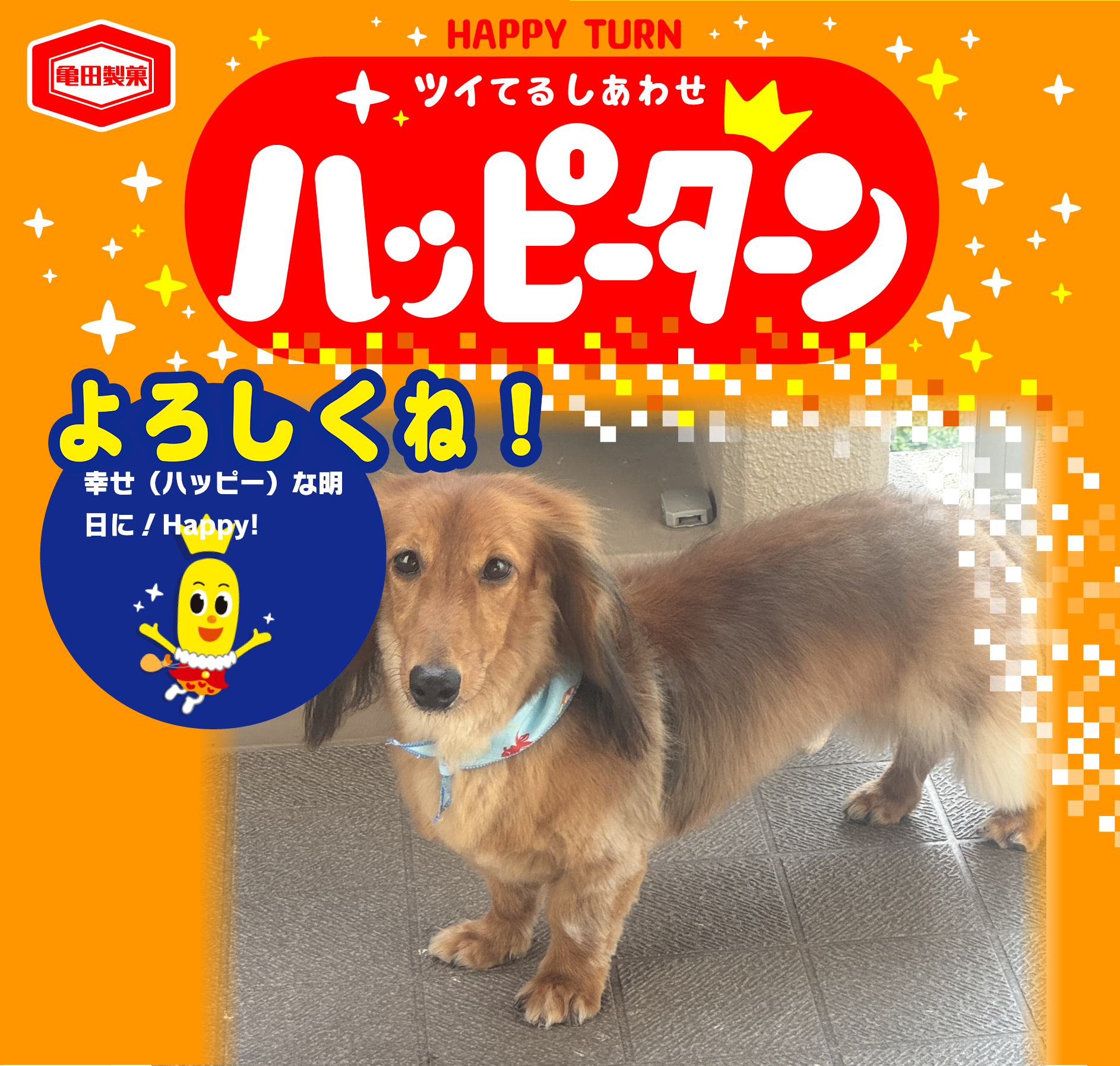 よろしくね！
