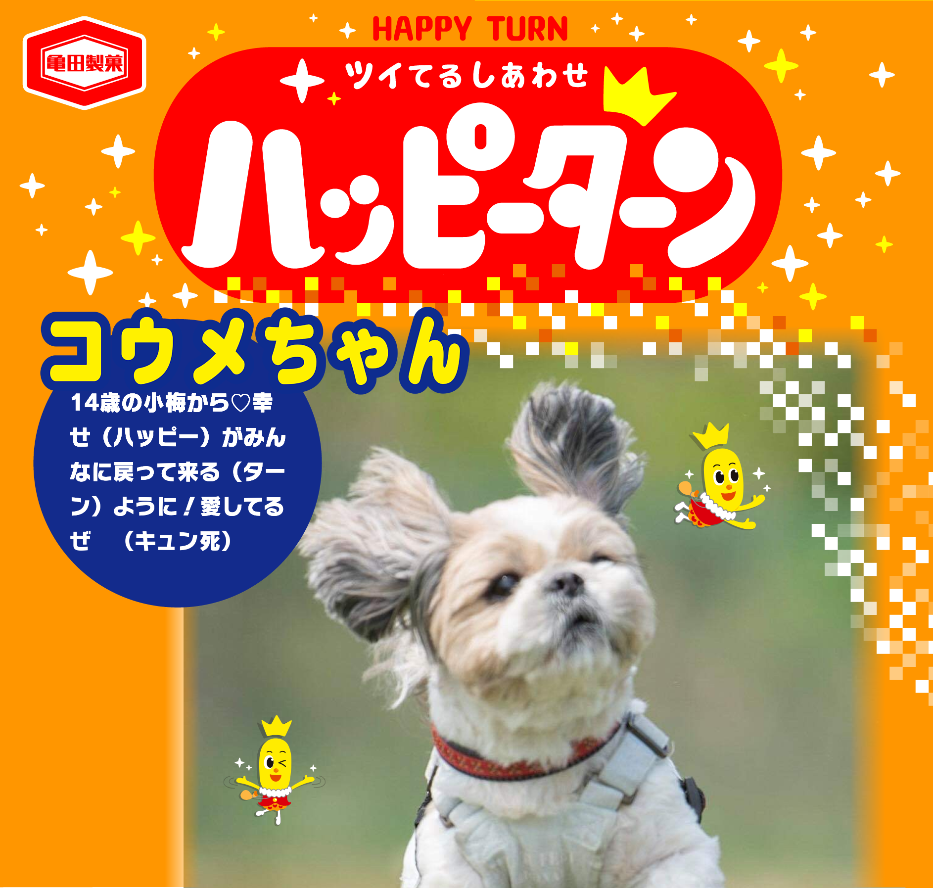 コウメちゃん
