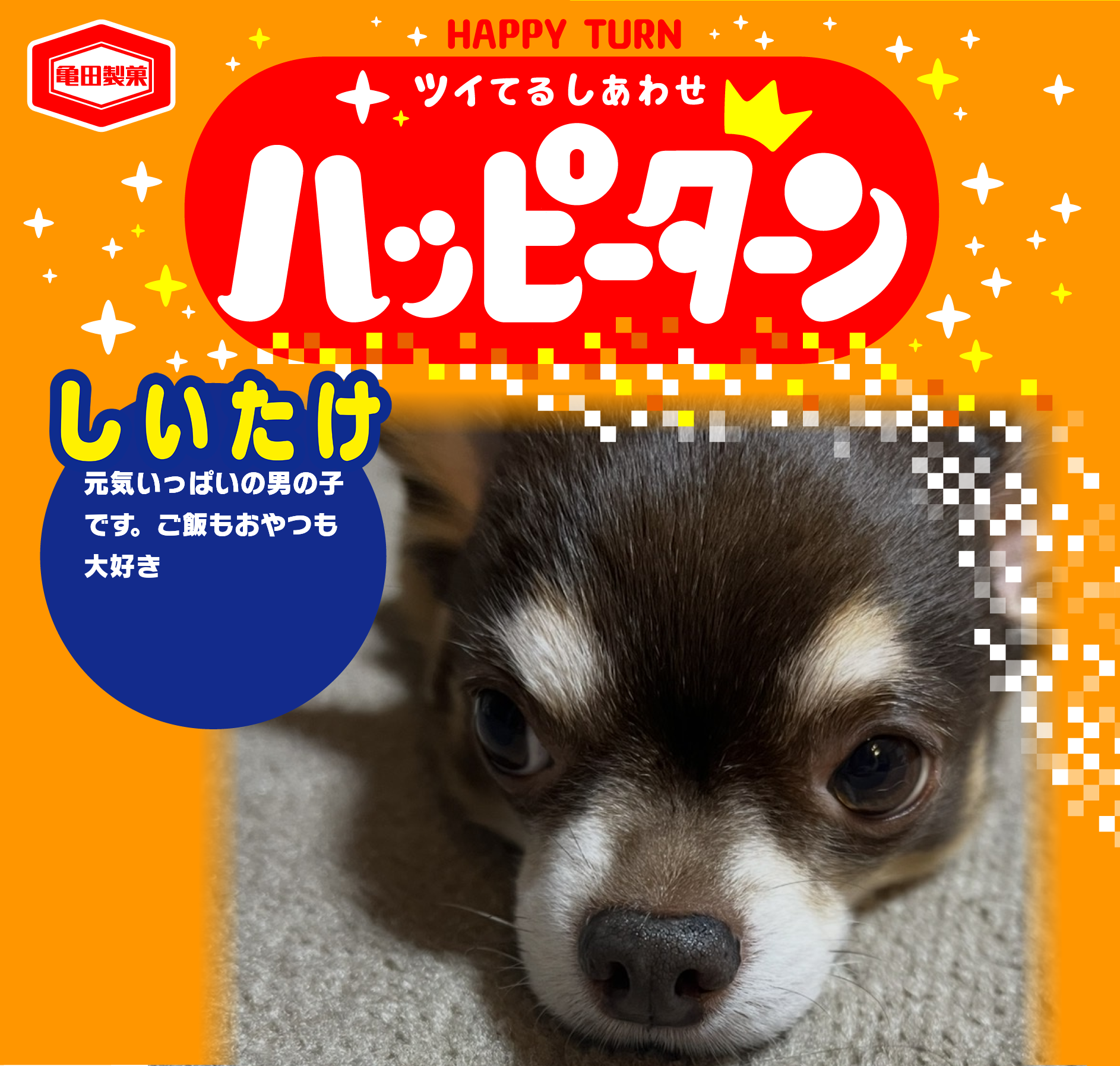 しいたけ