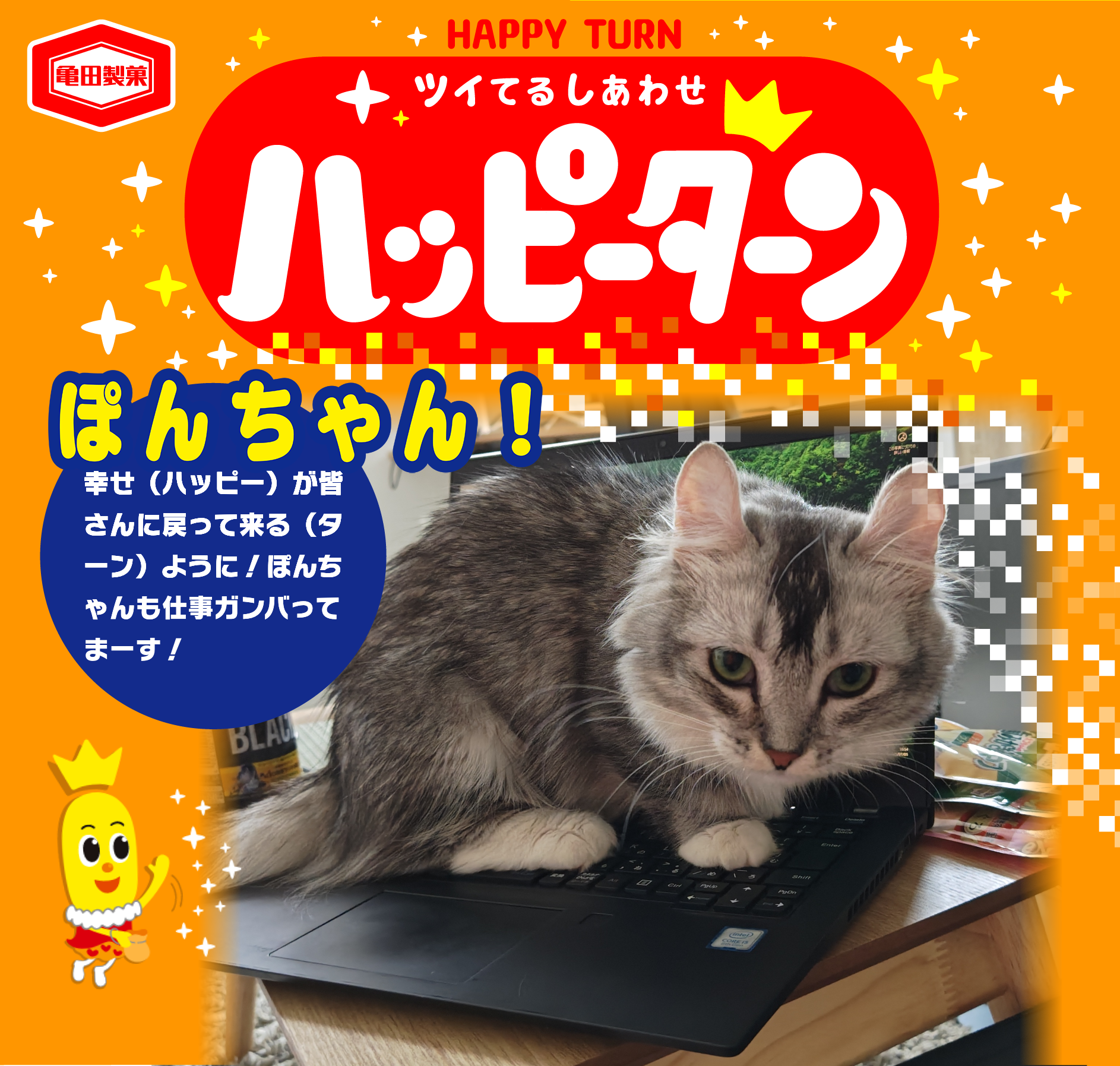 ぽんちゃん！