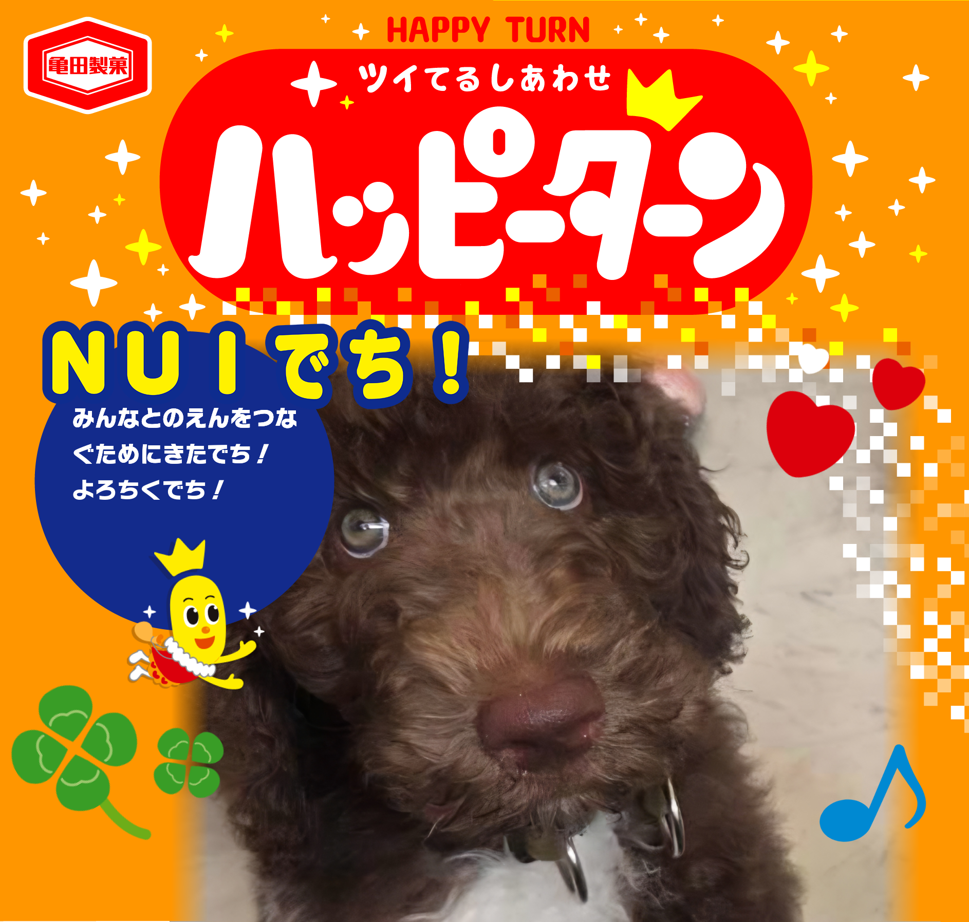 NUIでち！