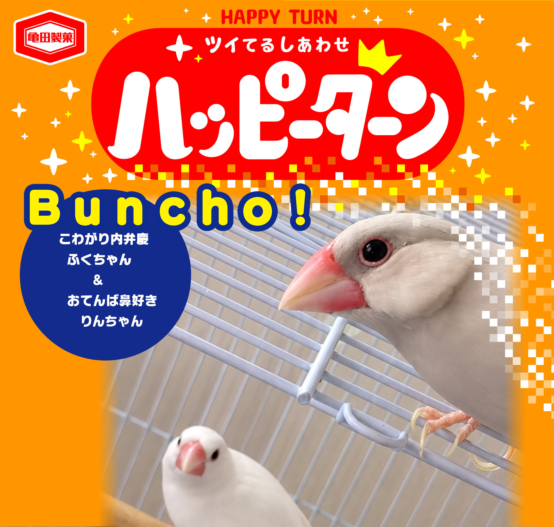 Buncho!
